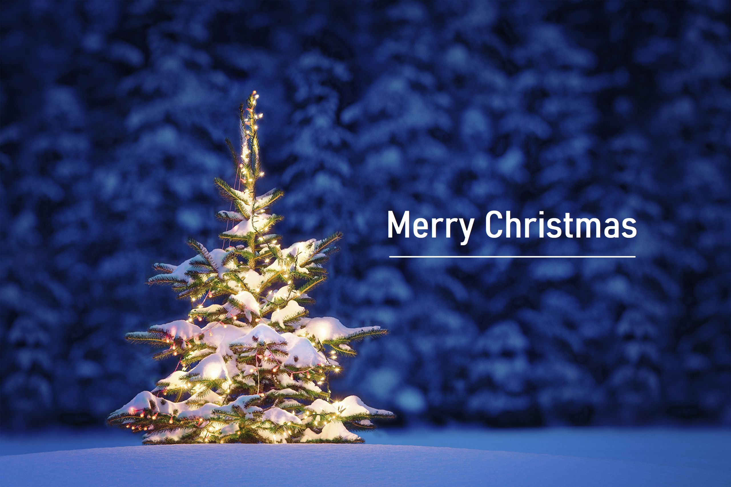 Free download wallpaper Christmas, Holiday, Christmas Tree, Merry Christmas on your PC desktop