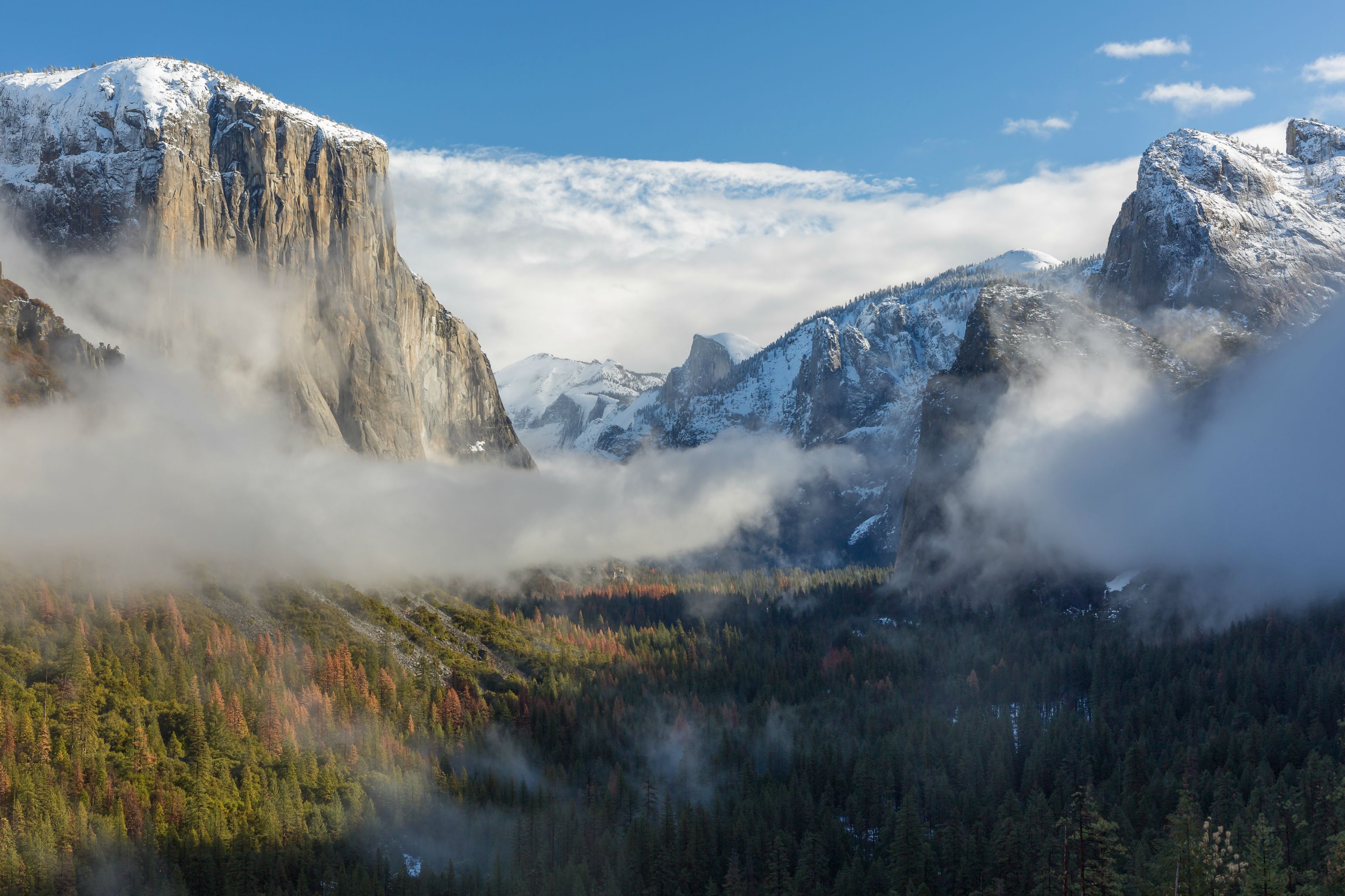 Téléchargez des papiers peints mobile Parc National, Parc National De Yosemite, Terre/nature gratuitement.