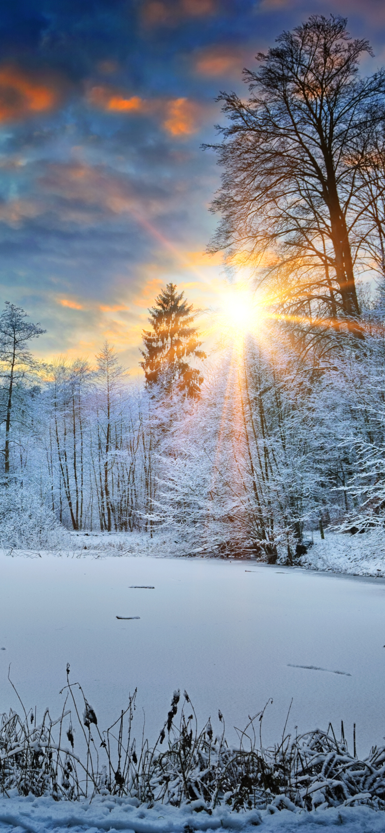 Descarga gratuita de fondo de pantalla para móvil de Invierno, Nieve, Atardecer, Tierra/naturaleza, Puesta De Sol.