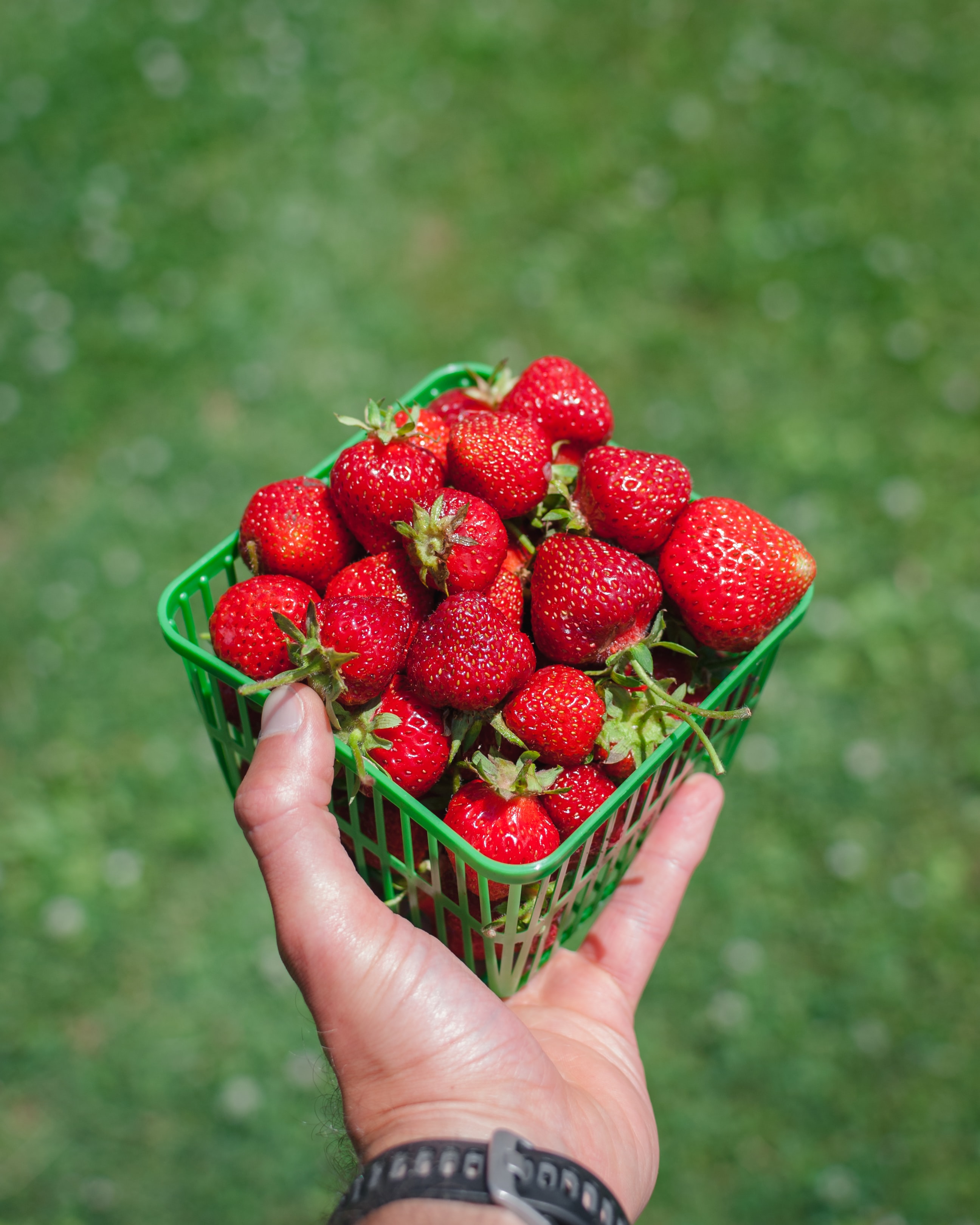 Download mobile wallpaper Box, Food, Berry, Hand, Strawberry for free.