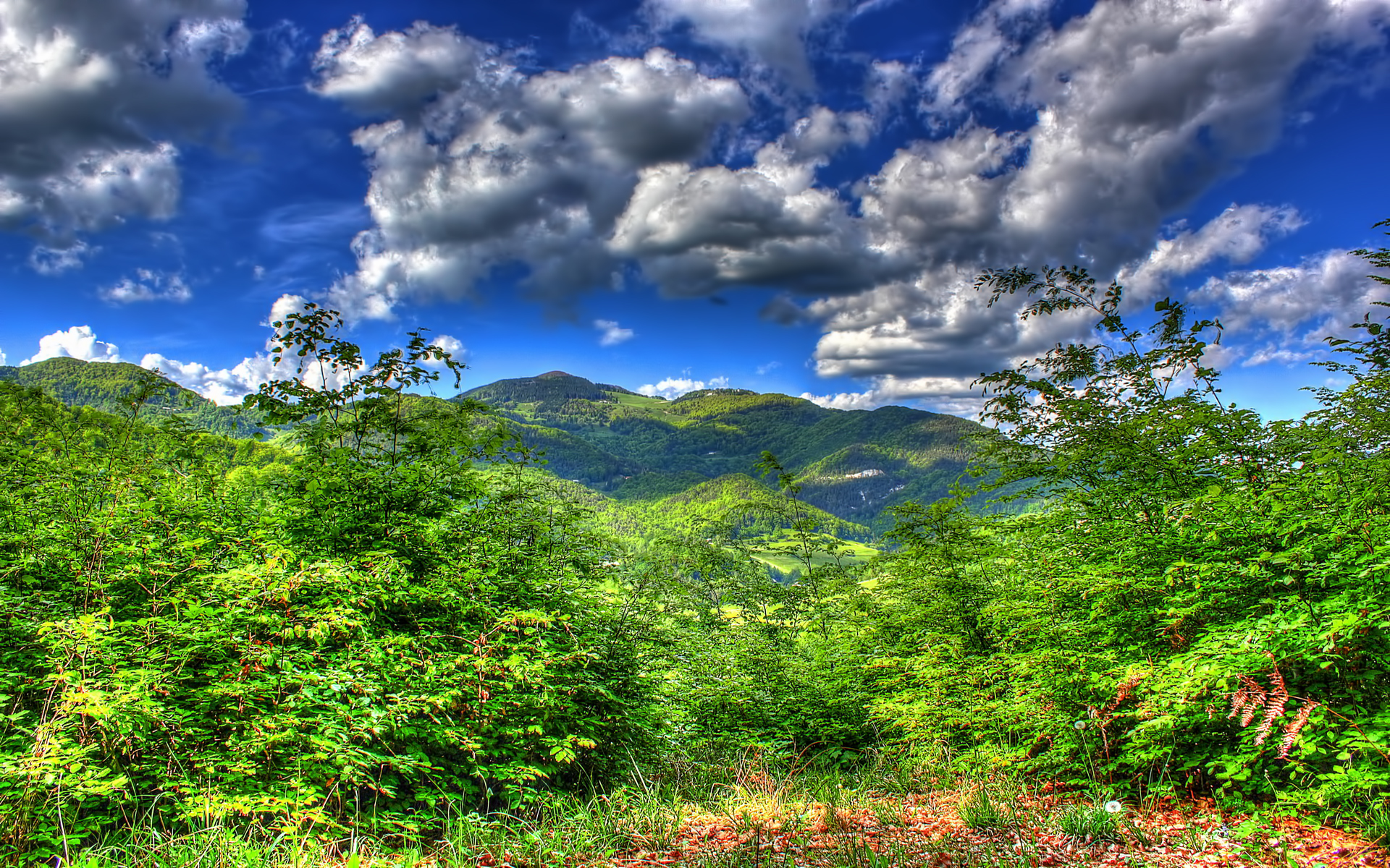 Laden Sie das Bäume, Sky, Mountains, Landschaft, Clouds-Bild kostenlos auf Ihren PC-Desktop herunter