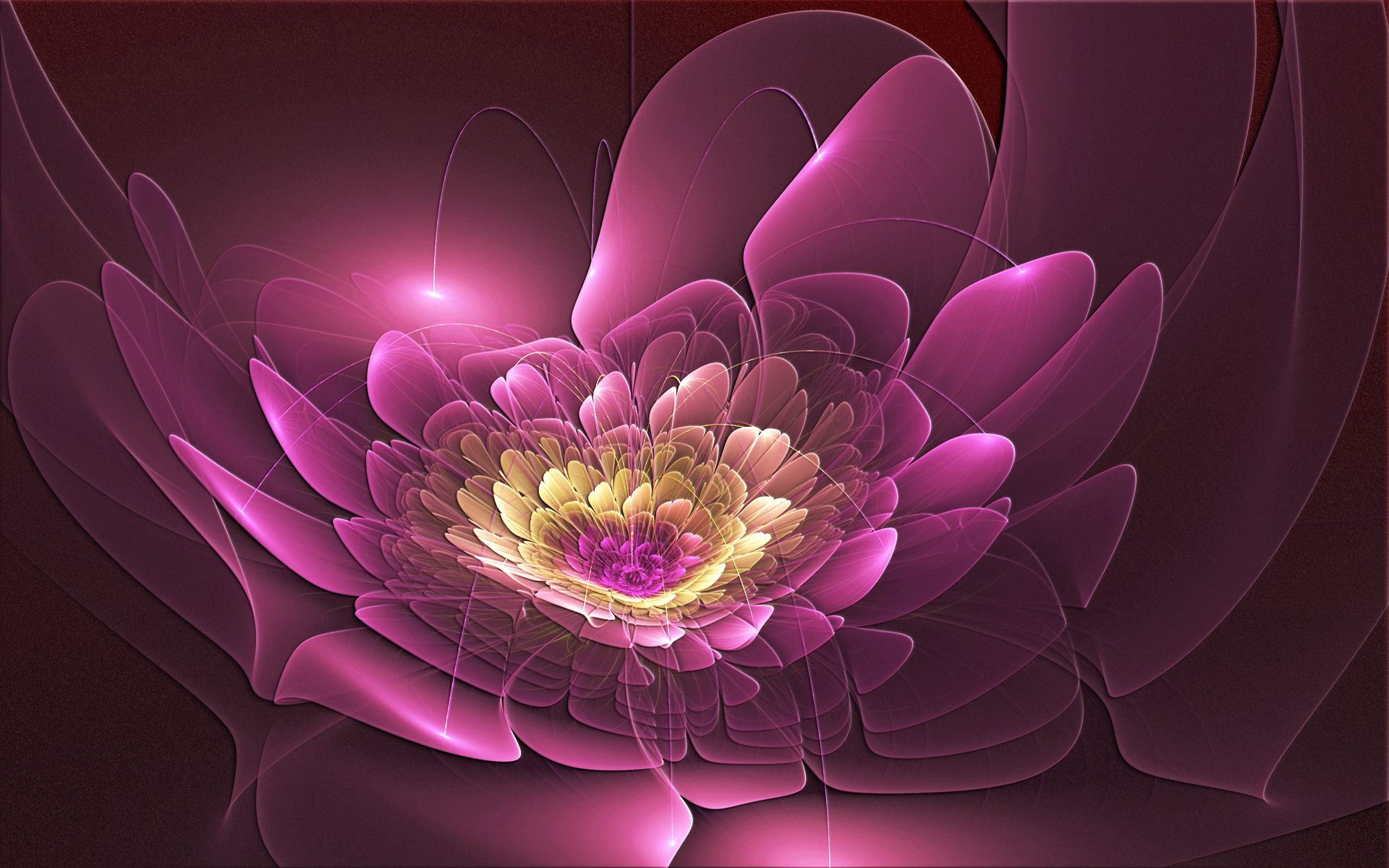 fractal, abstract, pink, flower, form HD for desktop 1080p