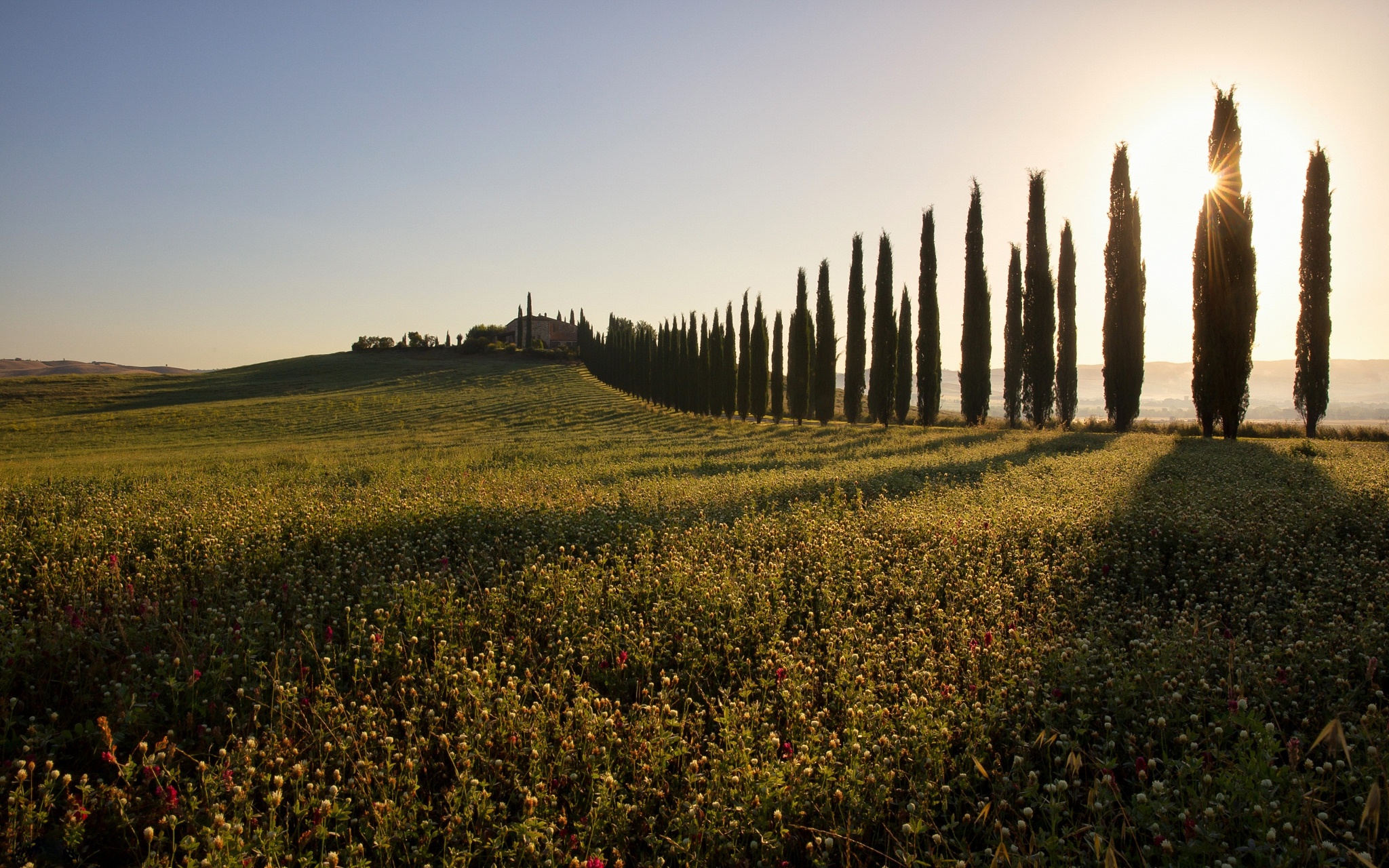 Laden Sie das Natur, Italien, Sonnig, Fotografie, Toskana, Von Bäumen Gesäumt-Bild kostenlos auf Ihren PC-Desktop herunter