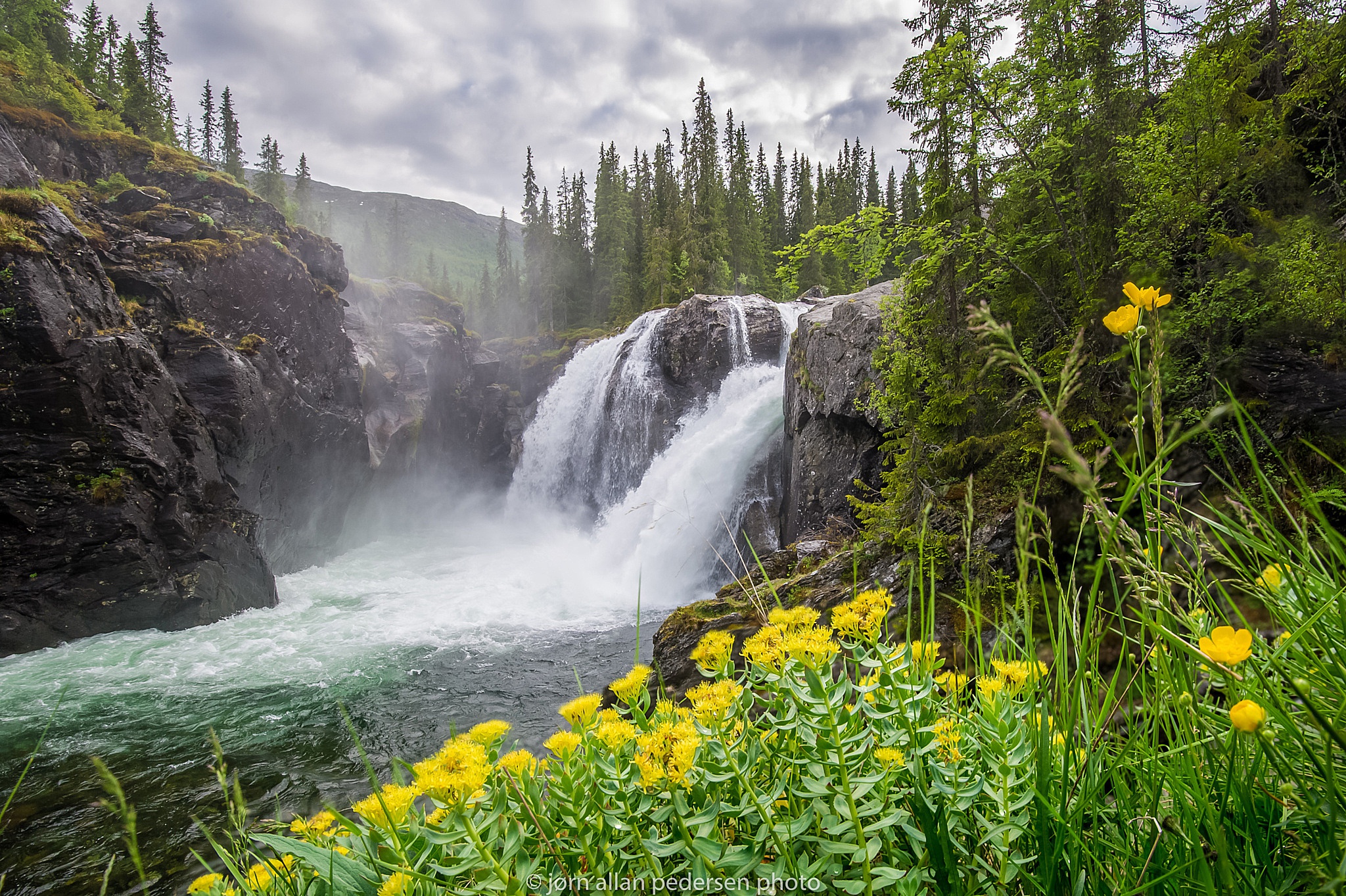 Téléchargez gratuitement l'image Cascades, Fleur, Forêt, Arbre, Terre/nature, Rivière, Chûte D'eau sur le bureau de votre PC