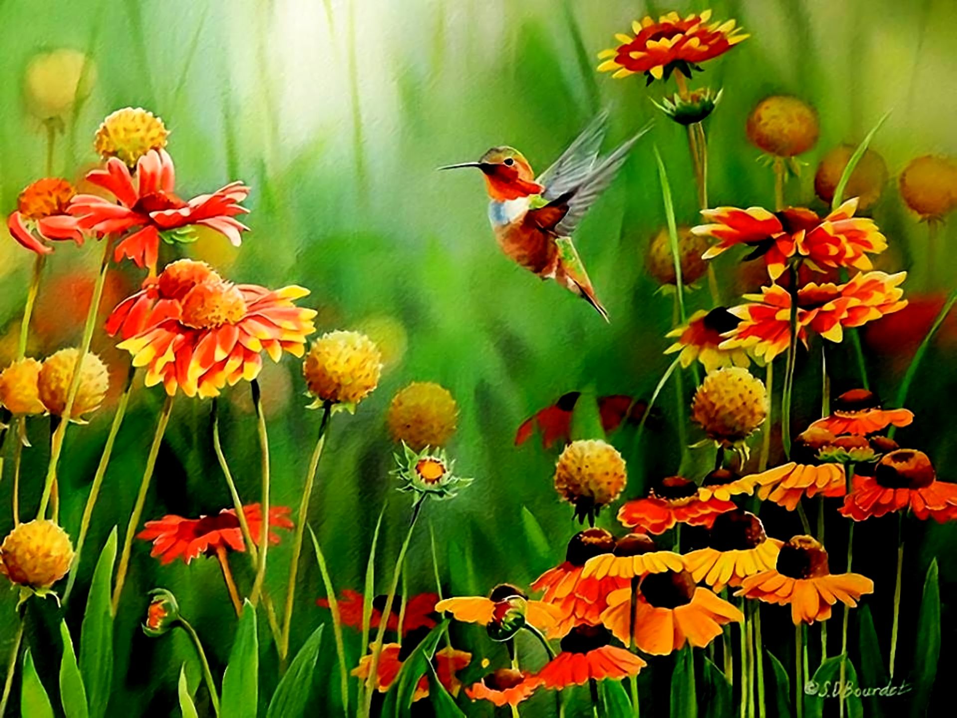 Free download wallpaper Flower, Bird, Colors, Painting, Artistic, Hummingbird on your PC desktop