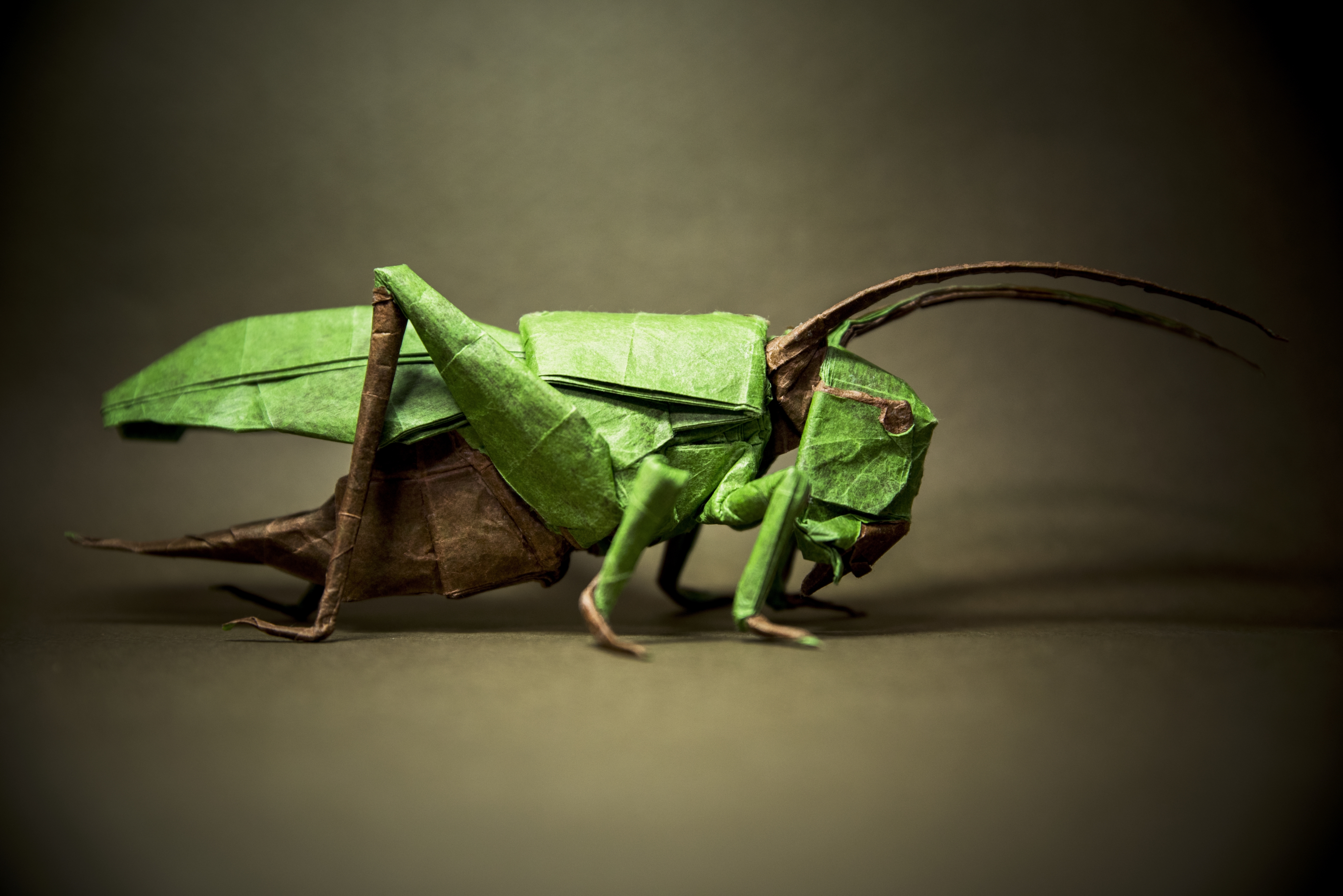 Laden Sie das Insekt, Origami, Menschengemacht, Grashüpfer-Bild kostenlos auf Ihren PC-Desktop herunter