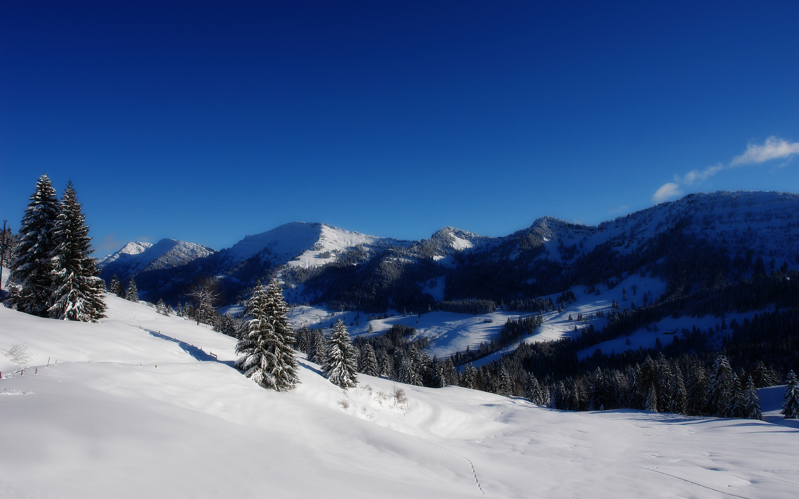 PCデスクトップに風景, 冬, 自然, 木, 雪, 山, 地球, 風光明媚な画像を無料でダウンロード