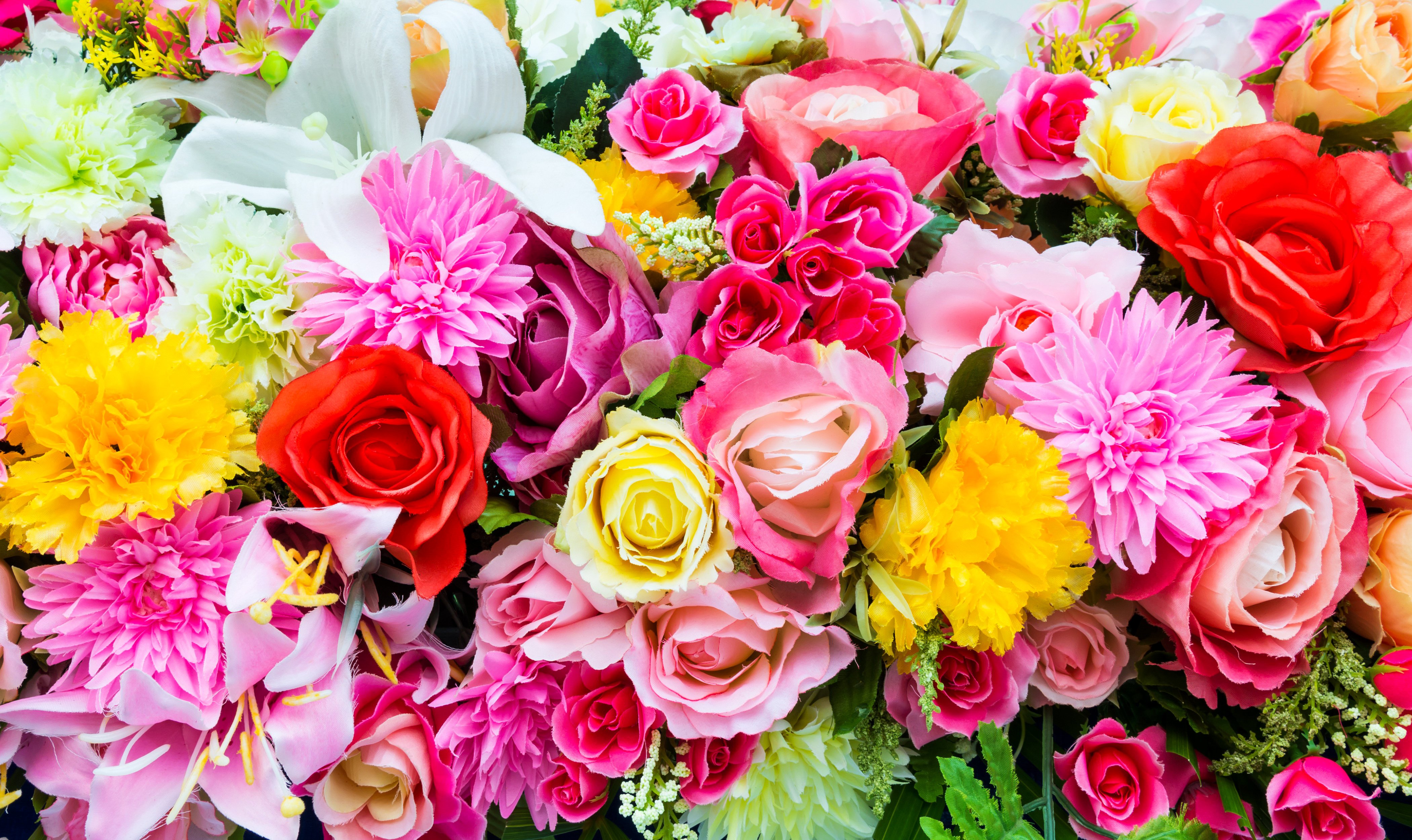 Téléchargez gratuitement l'image Rose, Fleur, Couleurs, Coloré, Lys, Dahlia, Fleur Jaune, Fleur Mauve, Fleur Rouge, Construction Humaine sur le bureau de votre PC