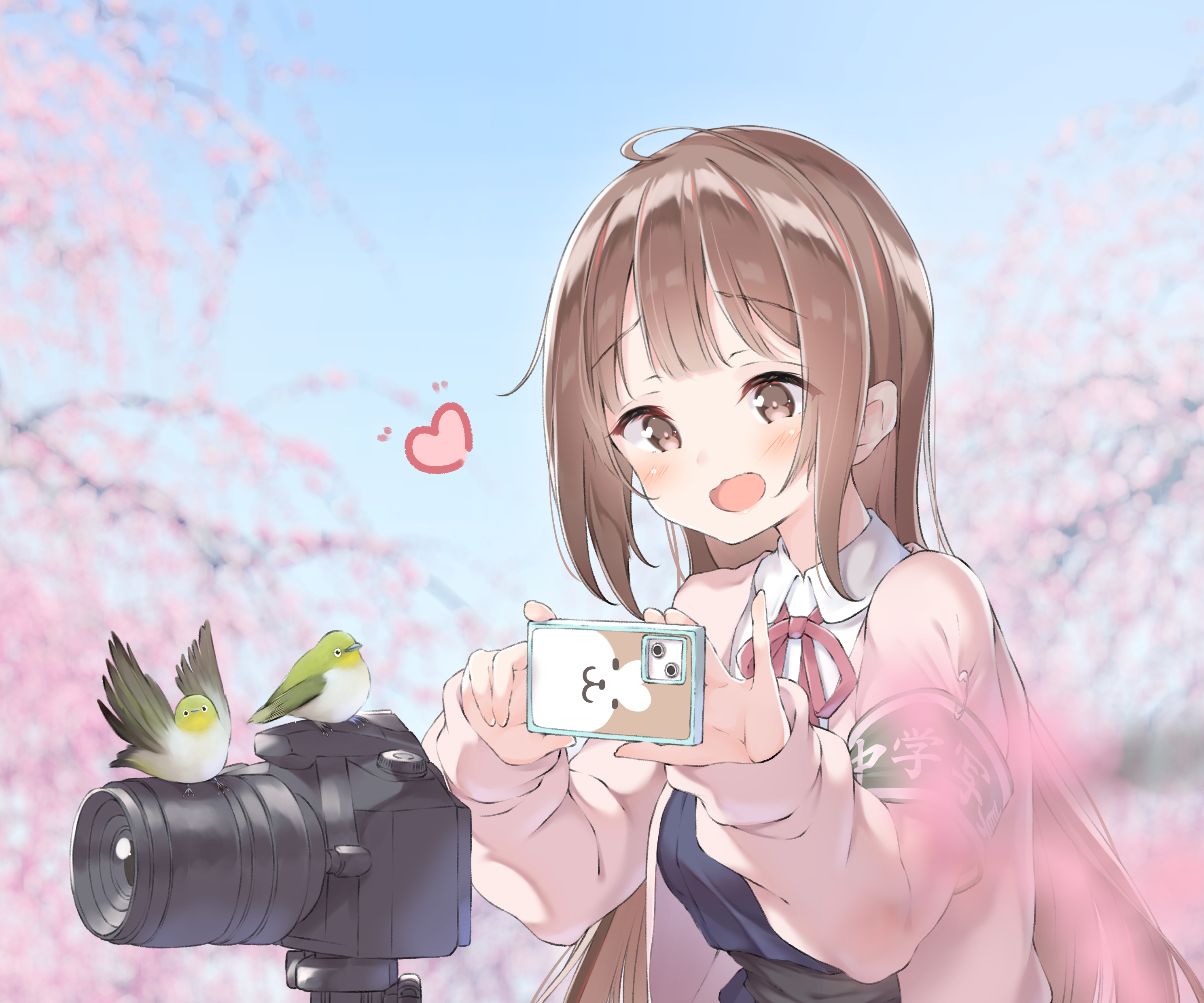 Free download wallpaper Anime, Girl, Camera on your PC desktop