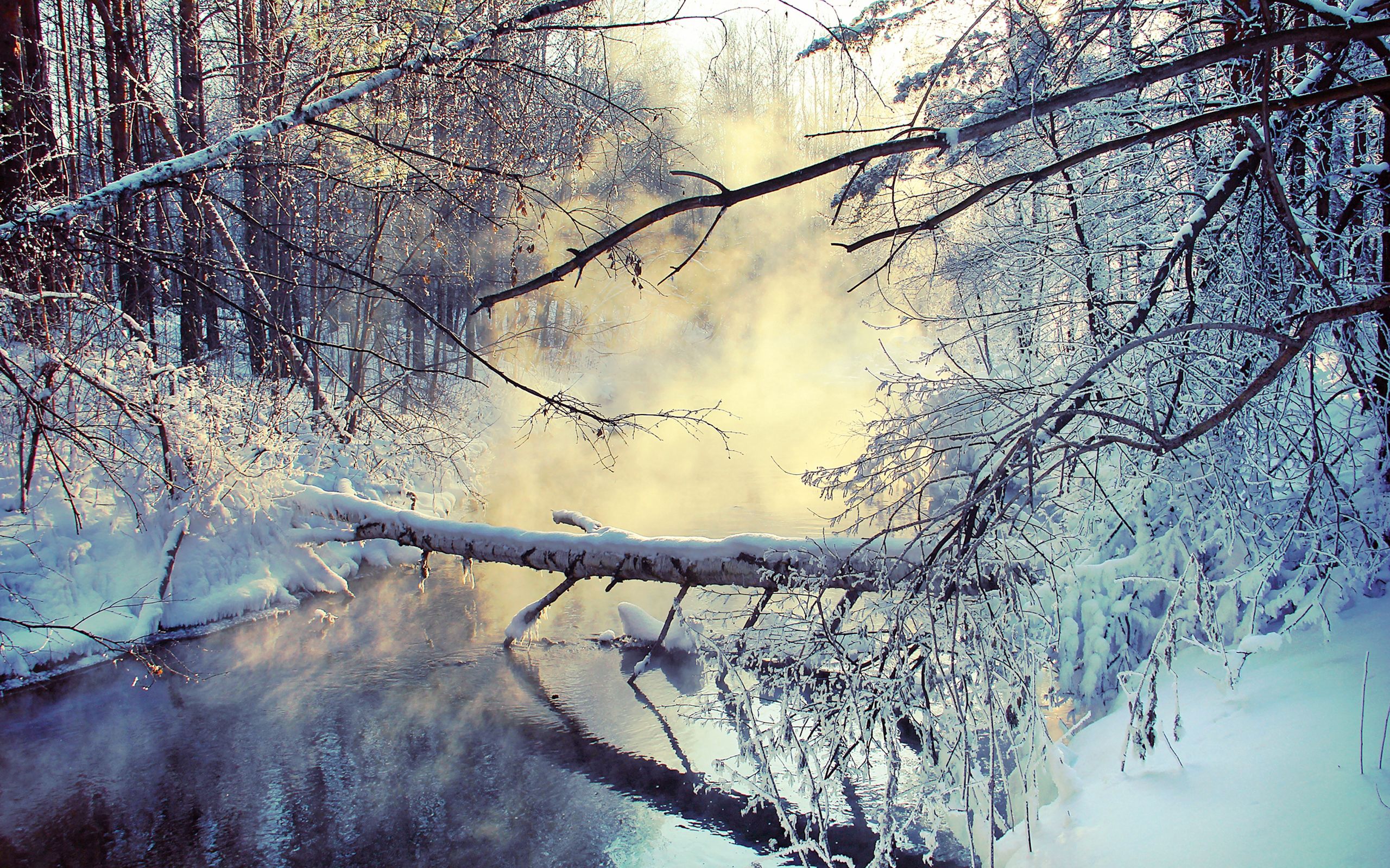 Скачать обои бесплатно Дерево, Природа, Снег, Пар, Озеро, Утро, Зима картинка на рабочий стол ПК
