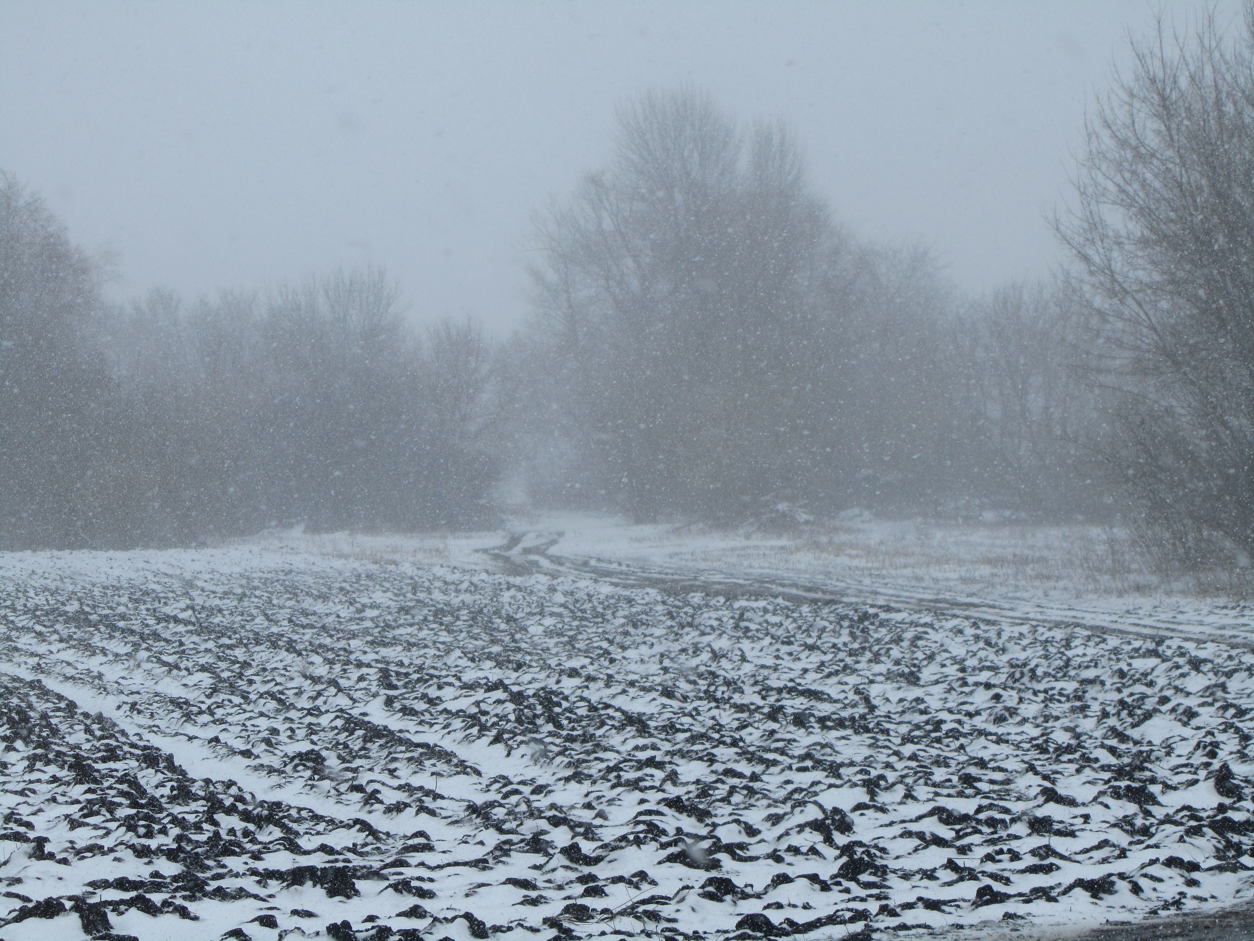 Handy-Wallpaper Winter, Erde/natur kostenlos herunterladen.