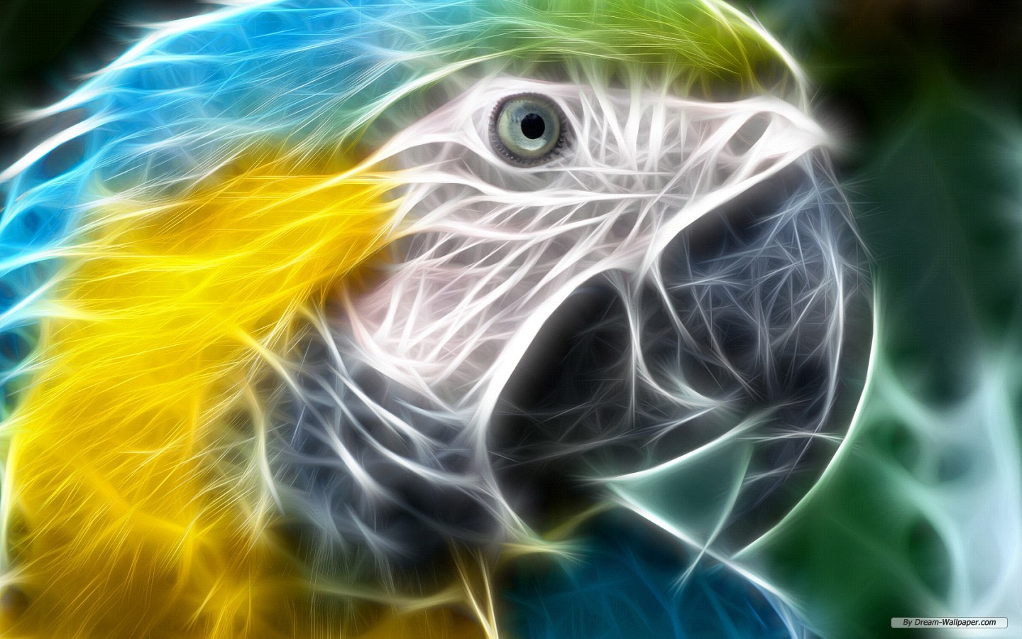 311948 descargar fondo de pantalla animales, guacamayo azul y amarillo, loro, aves: protectores de pantalla e imágenes gratis