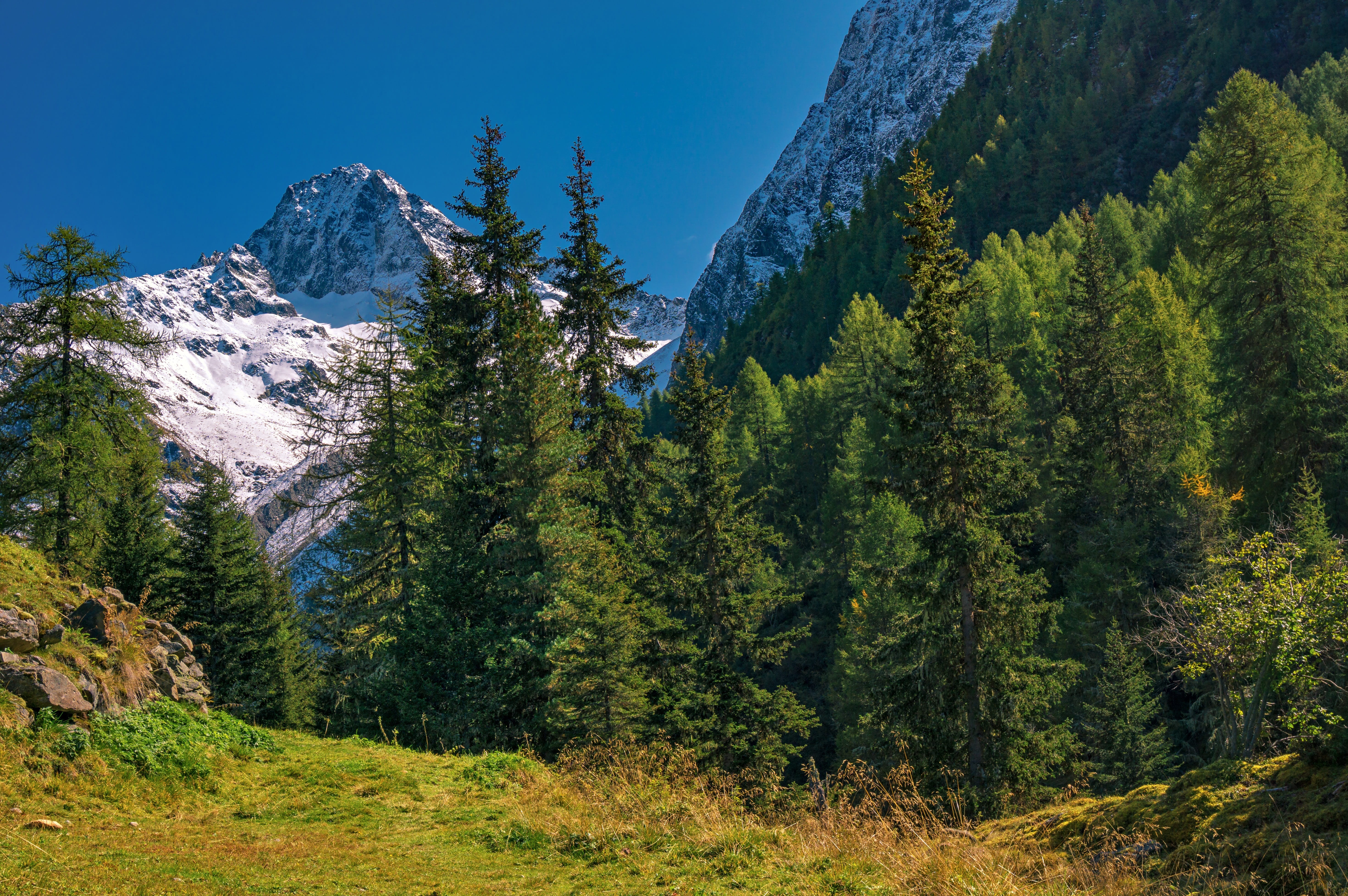 Laden Sie das Natur, Wald, Gebirge, Erde/natur-Bild kostenlos auf Ihren PC-Desktop herunter