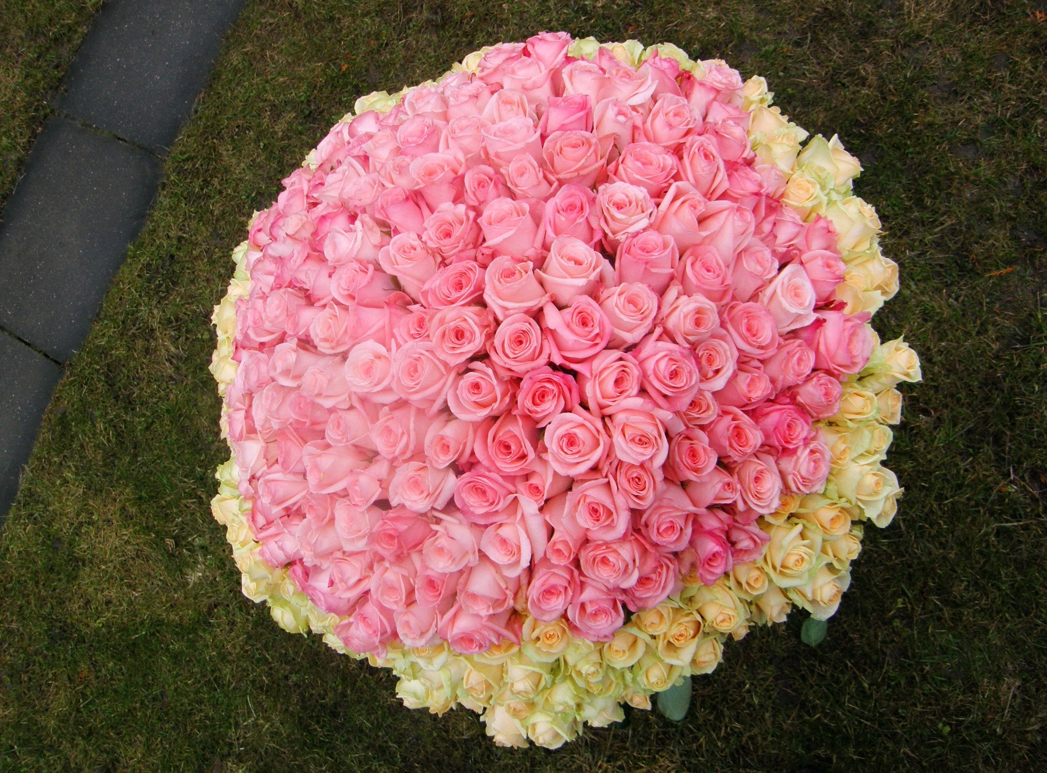 Baixar papel de parede para celular de Rosa, Flor, Ramalhete, Feito Pelo Homem gratuito.