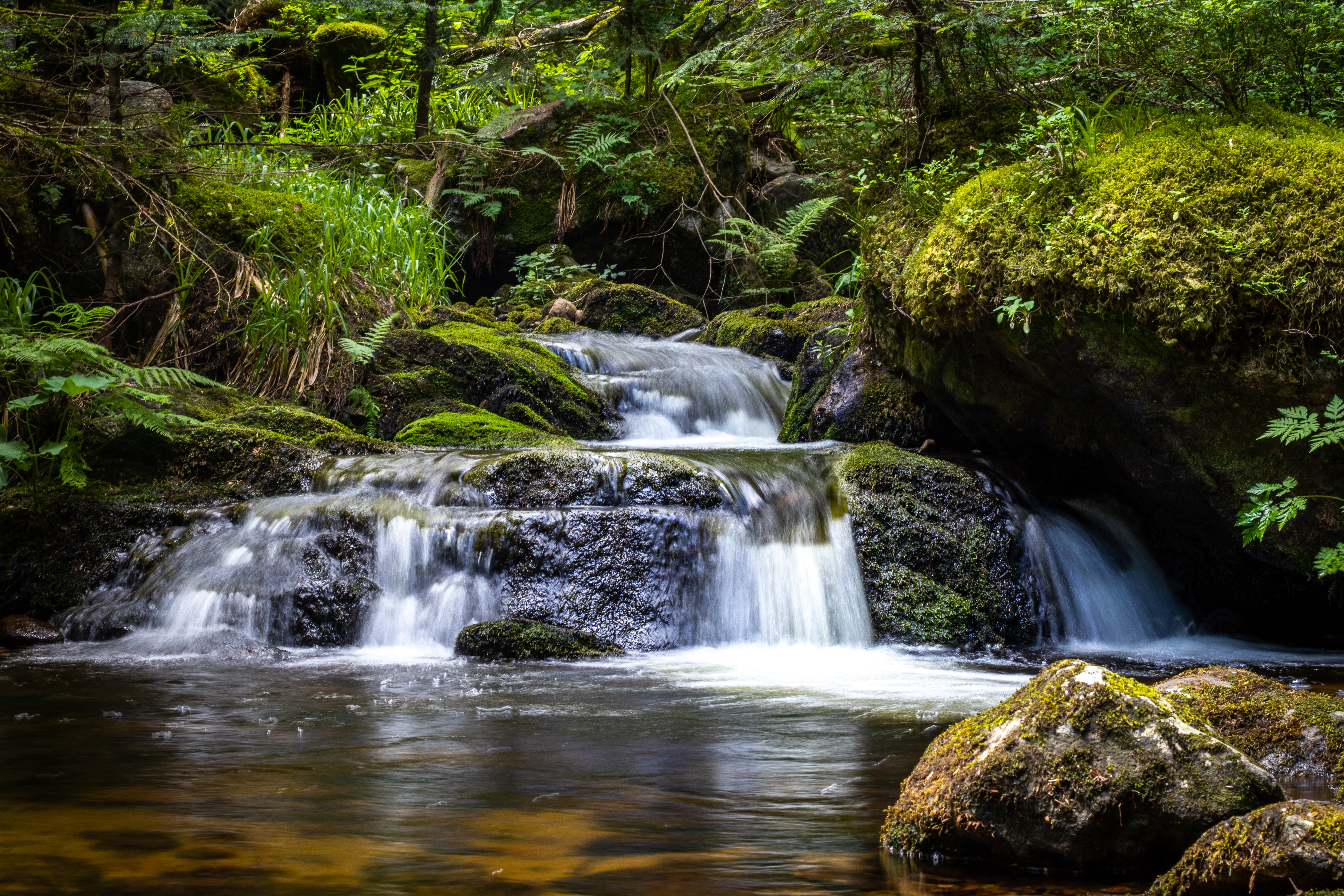 1920x1080 Background plants, nature, water, stones, waterfall, flow