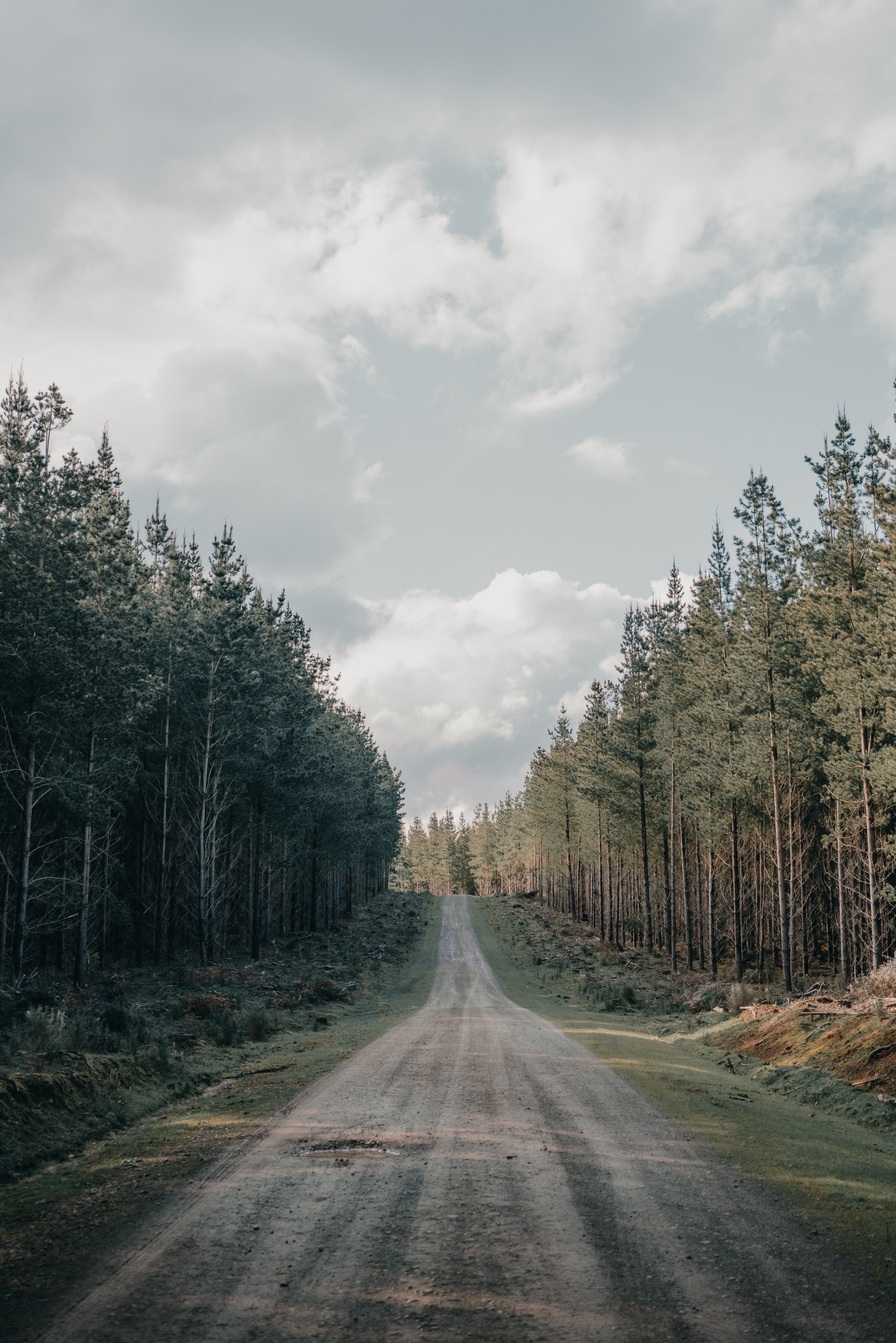 Download mobile wallpaper Coniferous, Road, Forest, Hill, Nature for free.