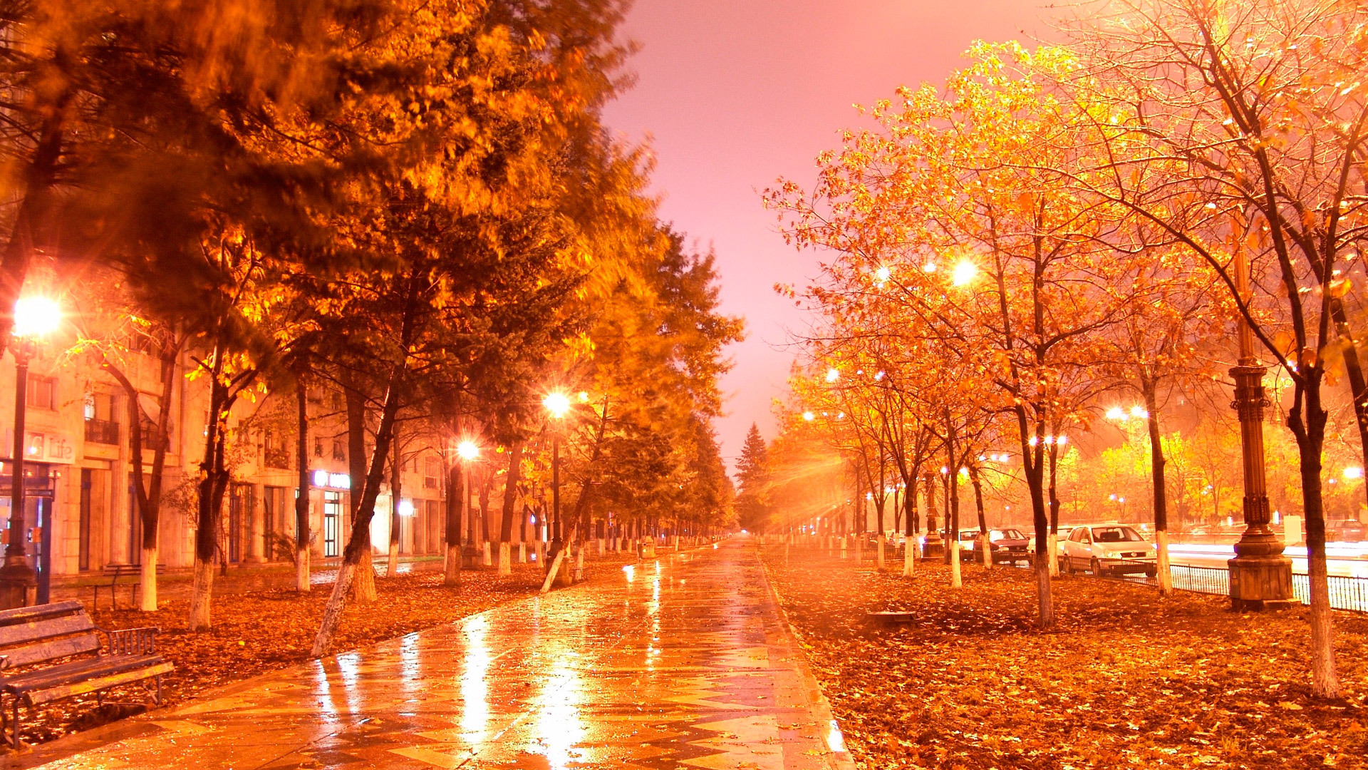 PCデスクトップに風景, 木, 秋, オレンジ, ナイト, 街画像を無料でダウンロード
