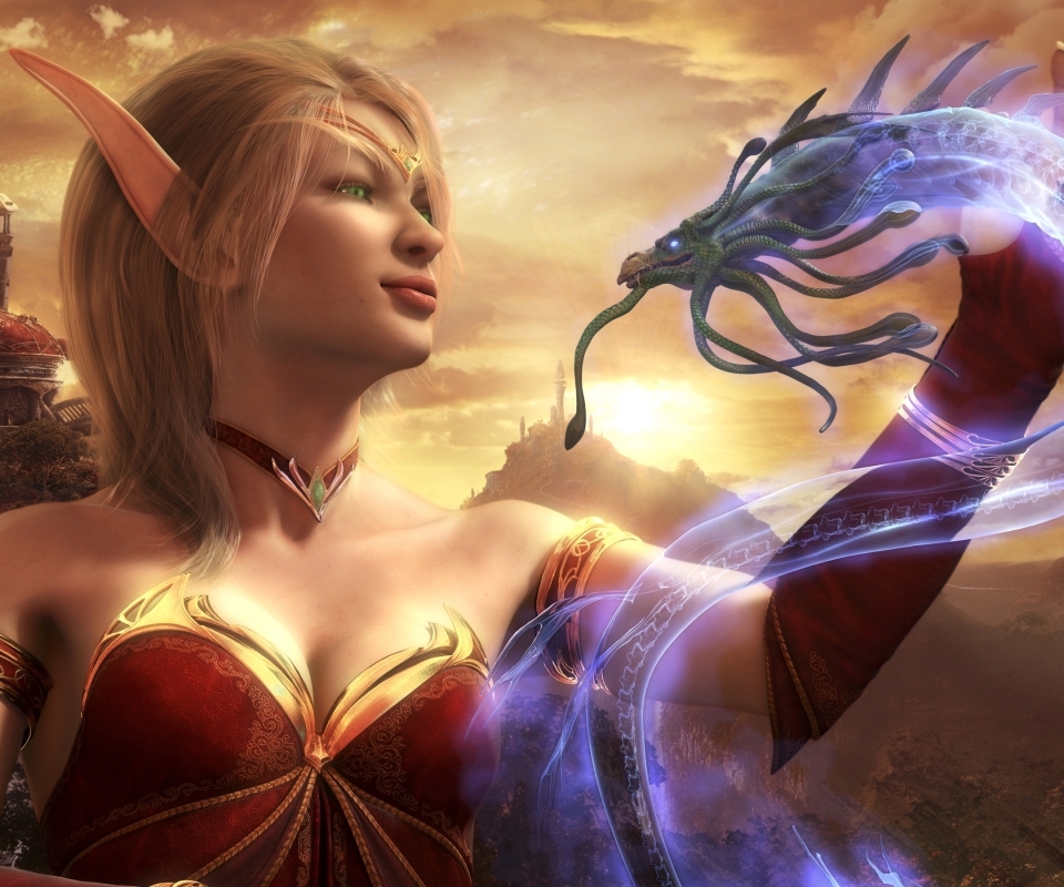 Téléchargez des papiers peints mobile Warcraft, Jeux Vidéo, World Of Warcraft, Elfe De Sang gratuitement.