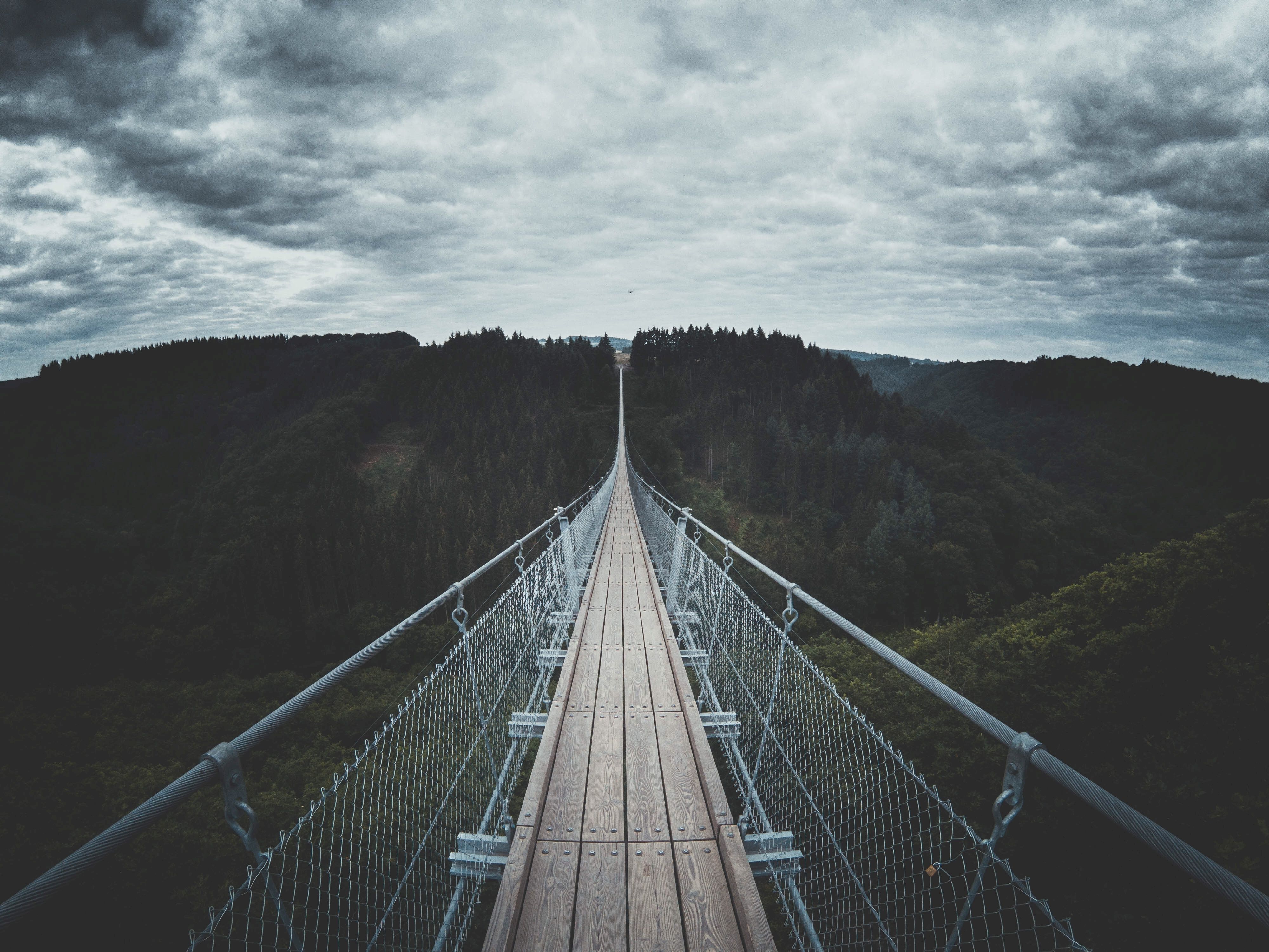 forest, nature, trees, sky, clouds, bridge, suspension, hanging, germany