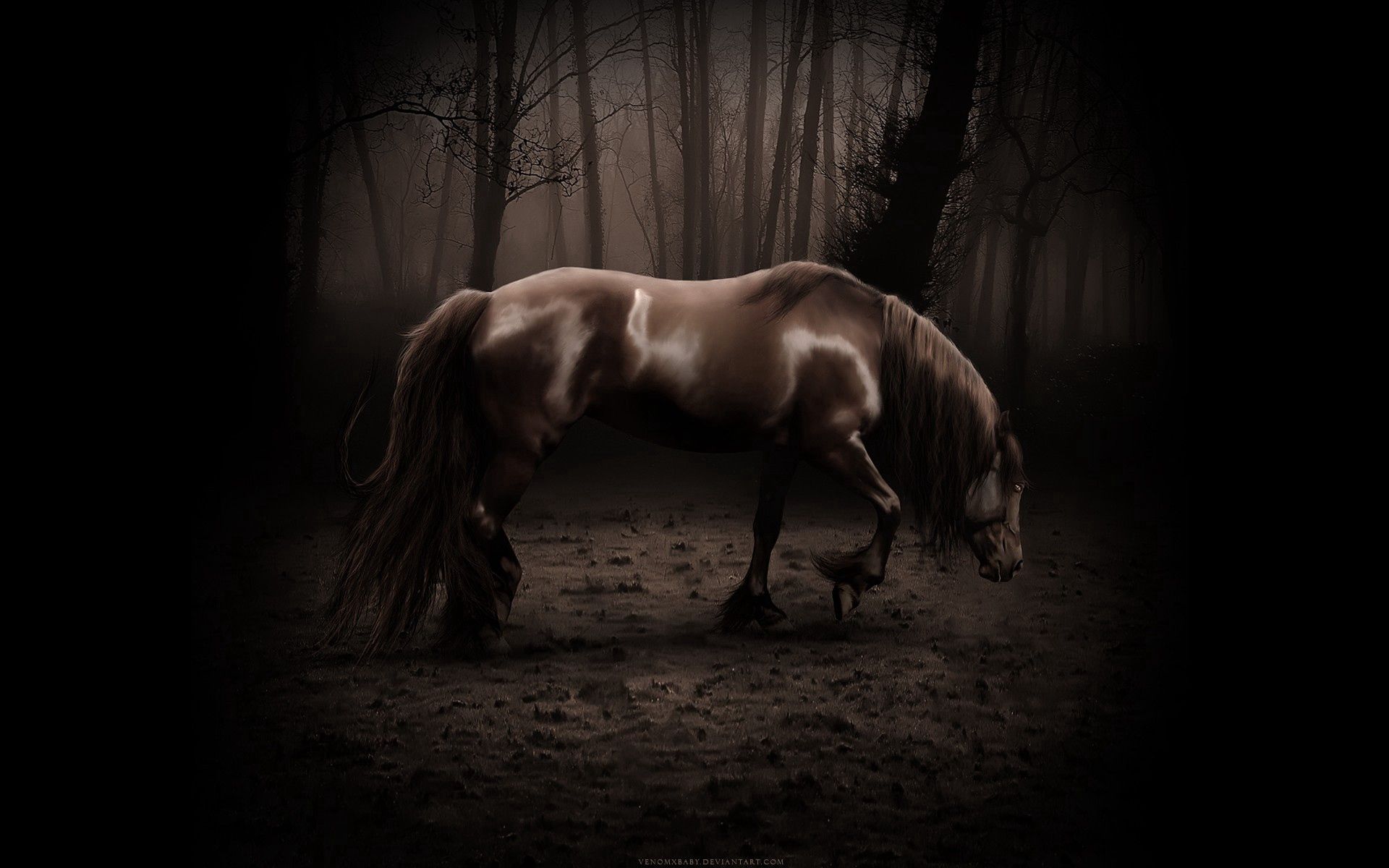 Download mobile wallpaper Forest, Beautiful, Stroll, Shadow, Horse, Dark for free.