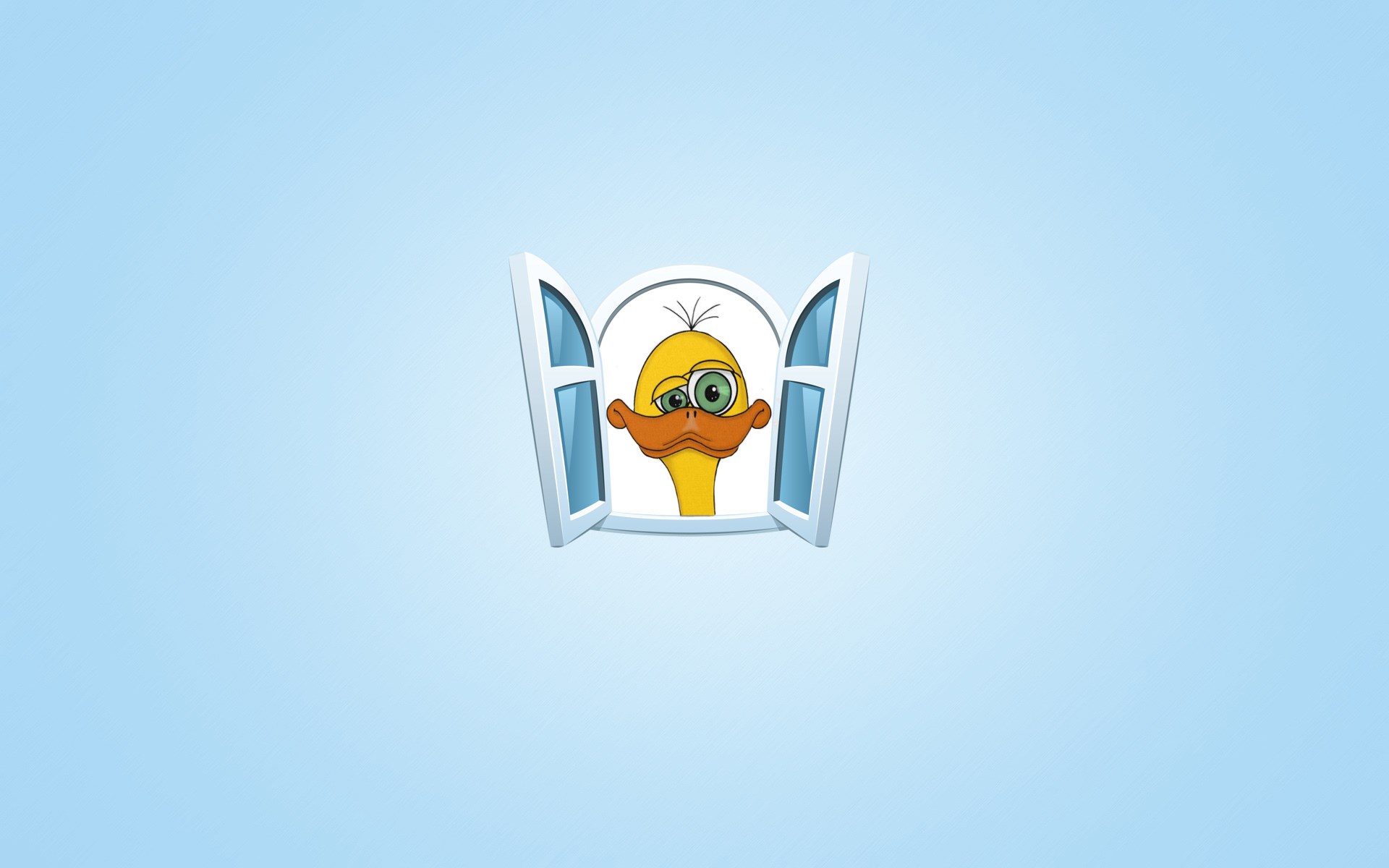 Free download wallpaper Birds, Animal, Duck on your PC desktop