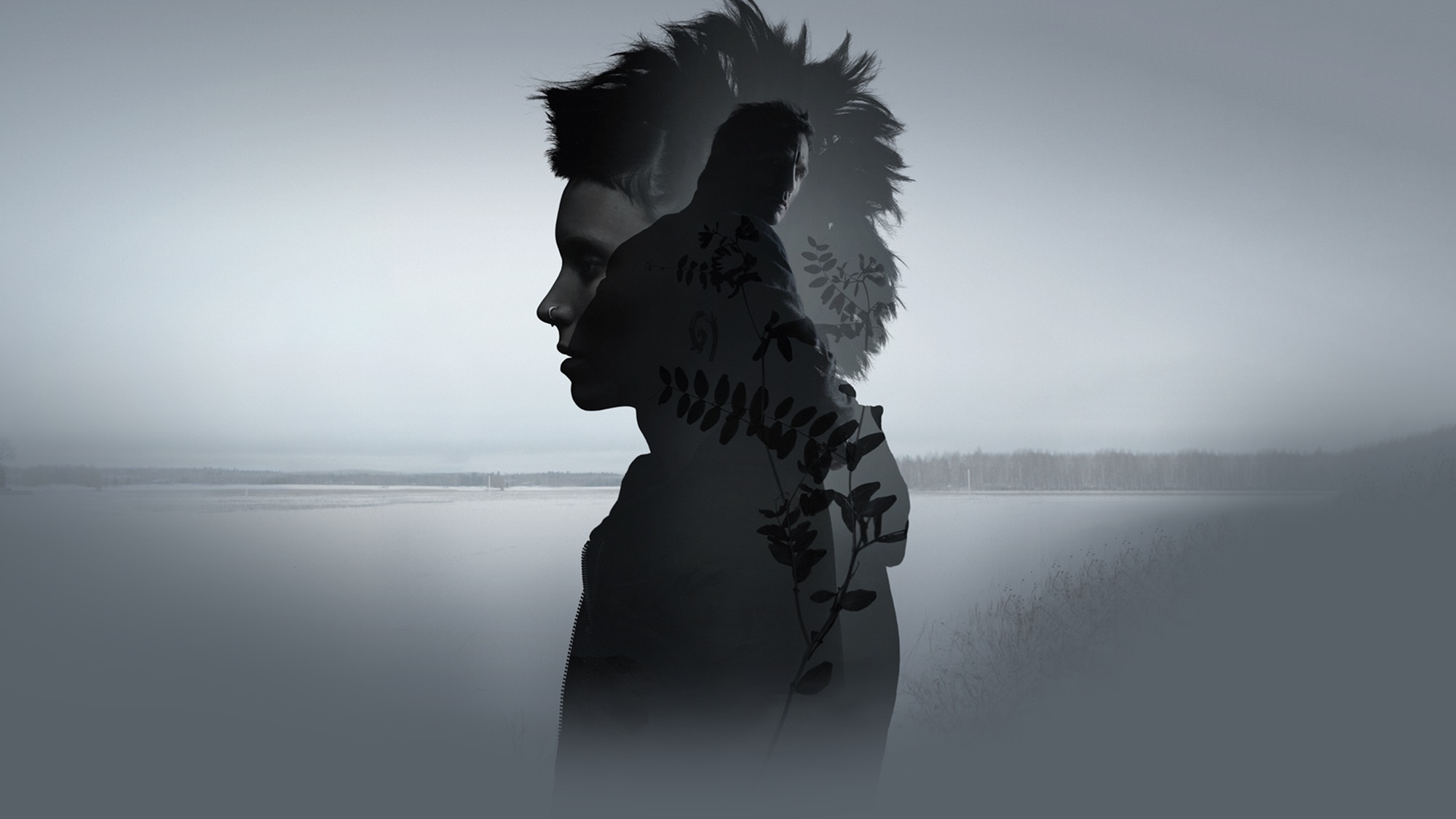 Download mobile wallpaper Daniel Craig, Movie, Noomi Rapace, The Girl With The Dragon Tattoo for free.