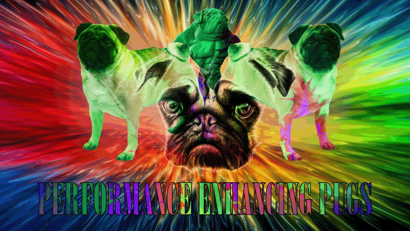 Free download wallpaper Dog, Pug, Psychedelic, Humor on your PC desktop