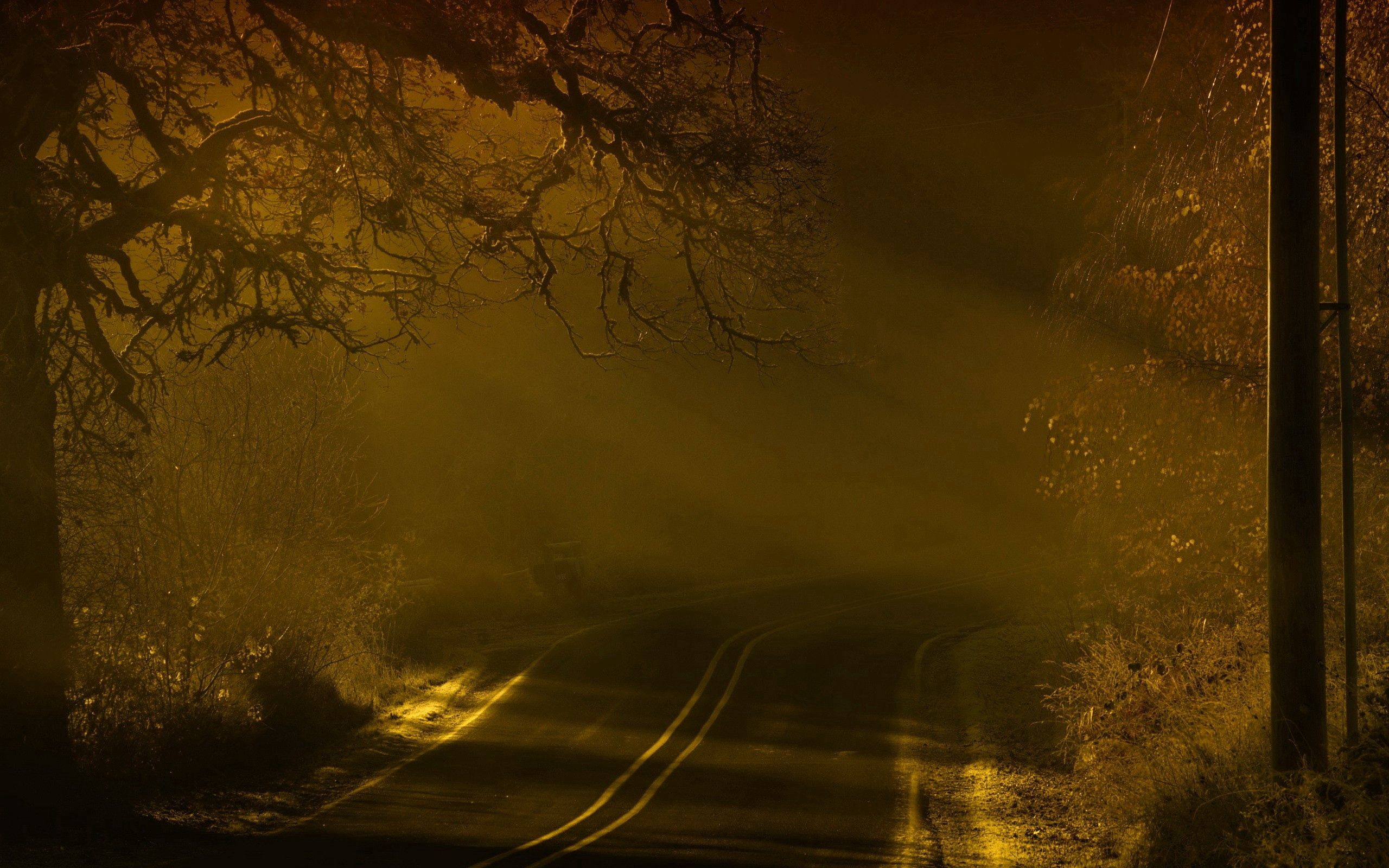 117064 скачать картинку туман, ночь, природа, дорога, разметки - обои и заставки бесплатно
