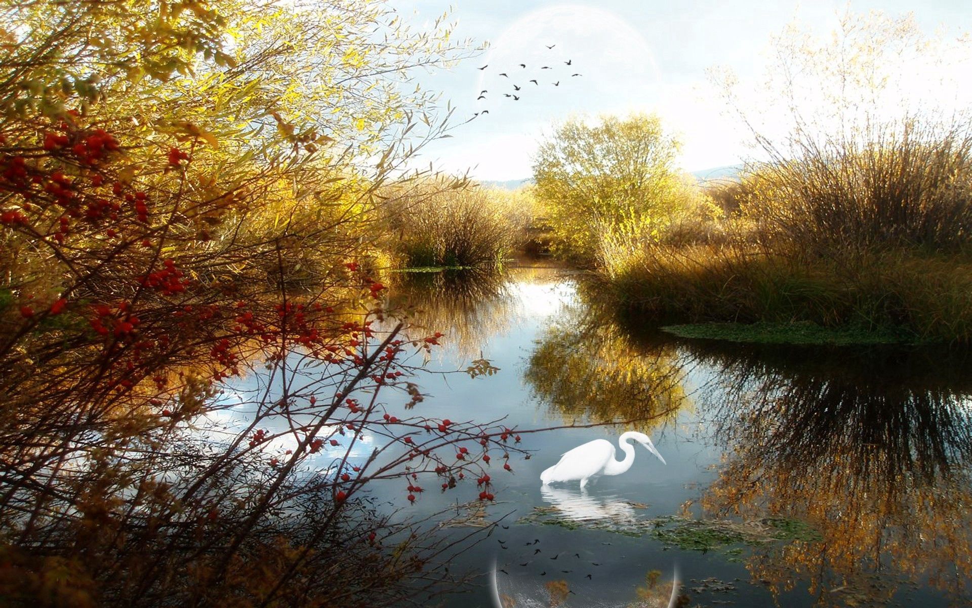 Free download wallpaper Trees, Lake, Crane, Nature, Ghost, Birds on your PC desktop