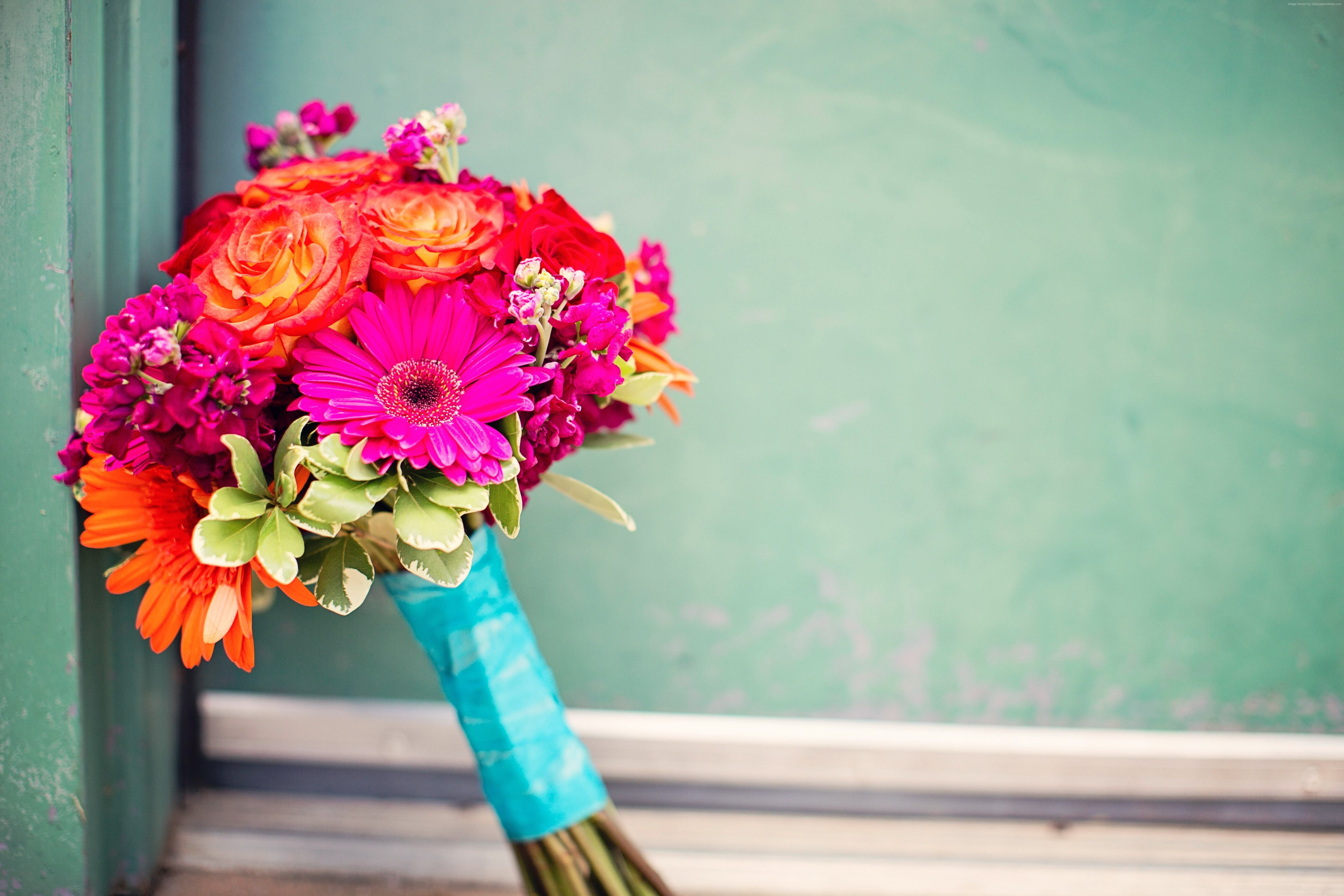 Téléchargez des papiers peints mobile Fleur, Bouquet, Couleurs, Coloré, Gerbera, Fleur Mauve, Construction Humaine gratuitement.