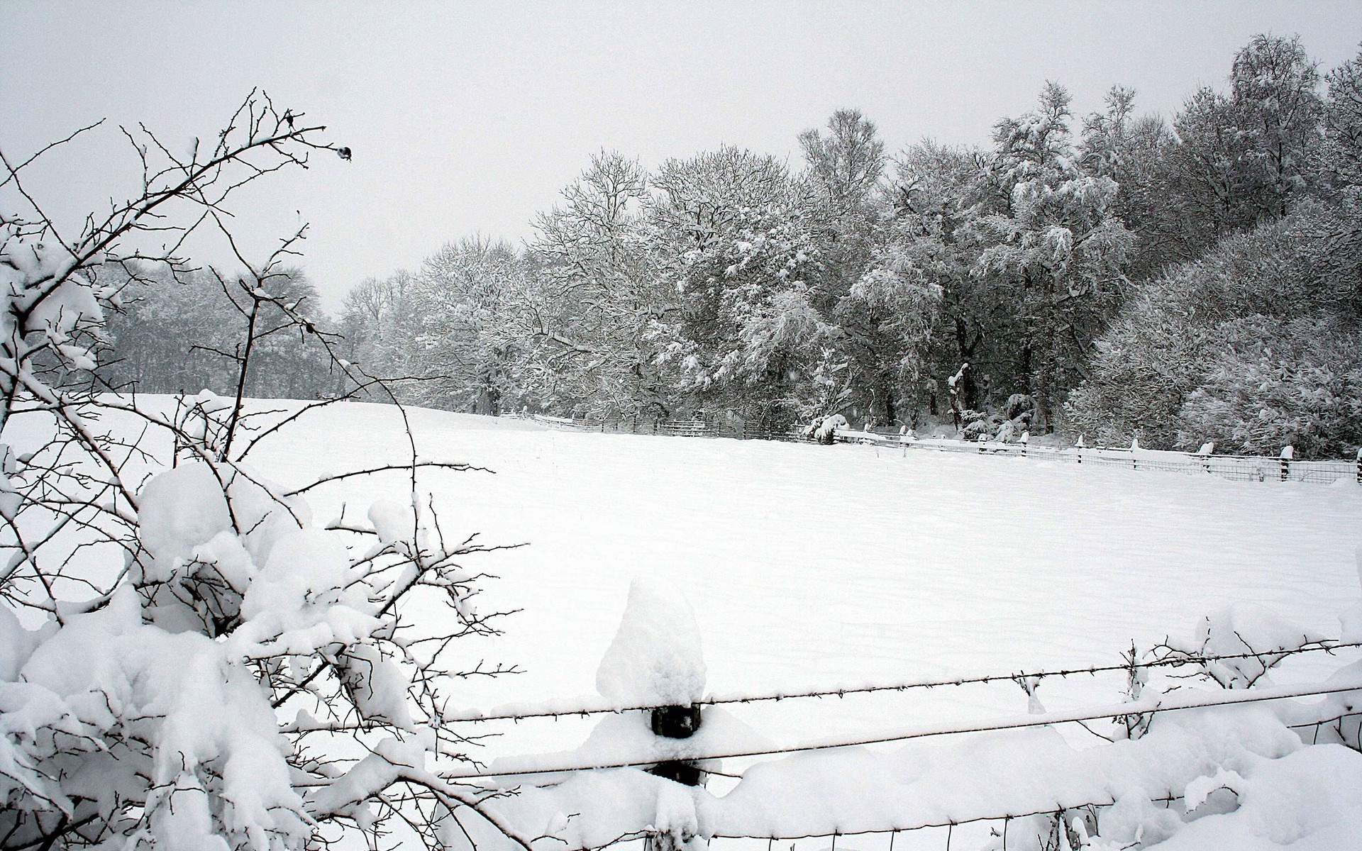 Baixar papel de parede para celular de Inverno, Terra/natureza gratuito.