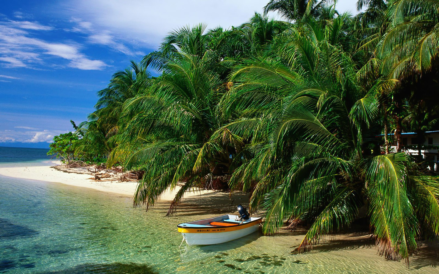 Download mobile wallpaper Ocean, Boat, Island, Tropical, Vehicles, Palm Tree for free.