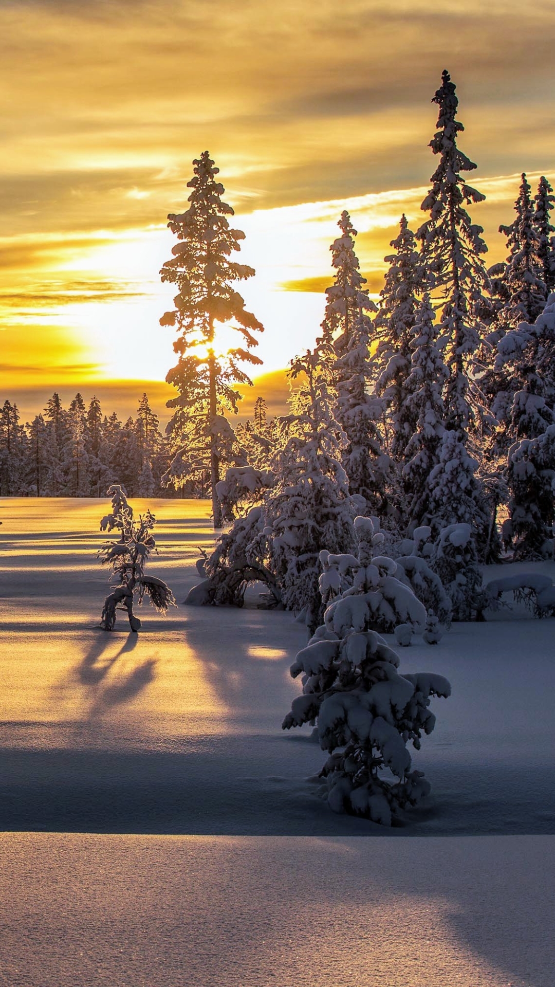 Download mobile wallpaper Winter, Snow, Forest, Sunrise, Earth for free.