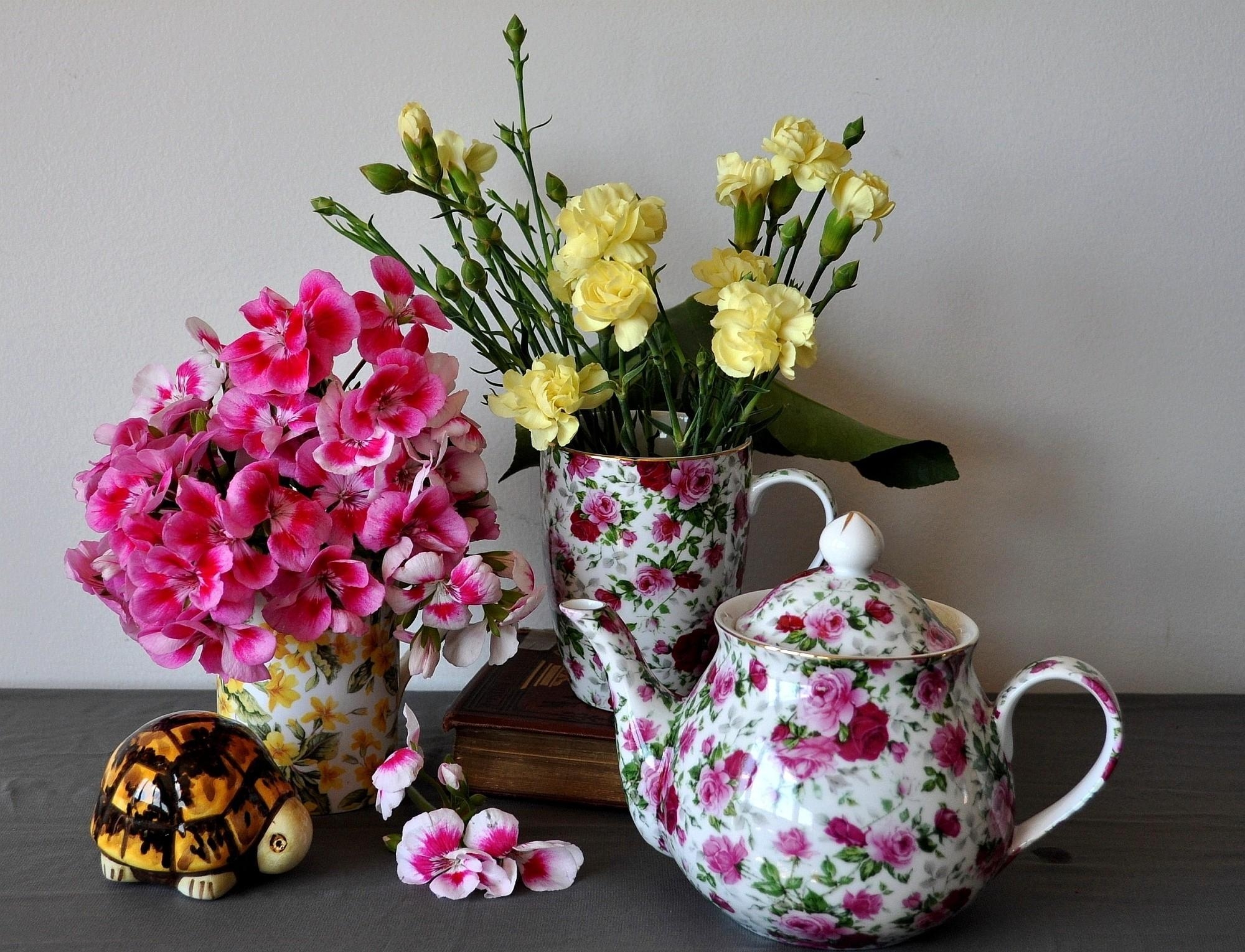 turtle, flowers, carnations, geranium, bug, porcelain HD wallpaper