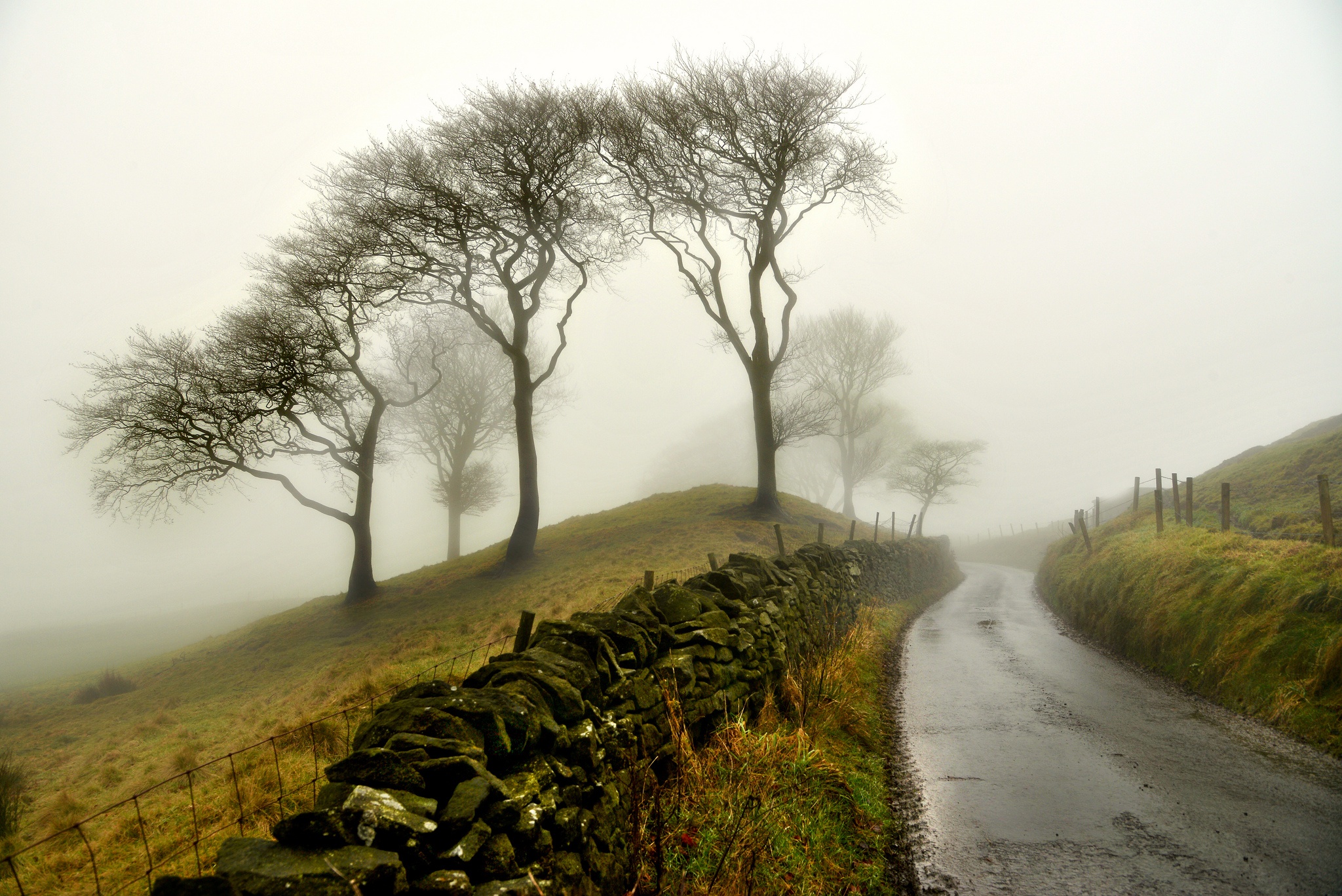 Free download wallpaper Nature, Road, Tree, Fog, Man Made on your PC desktop