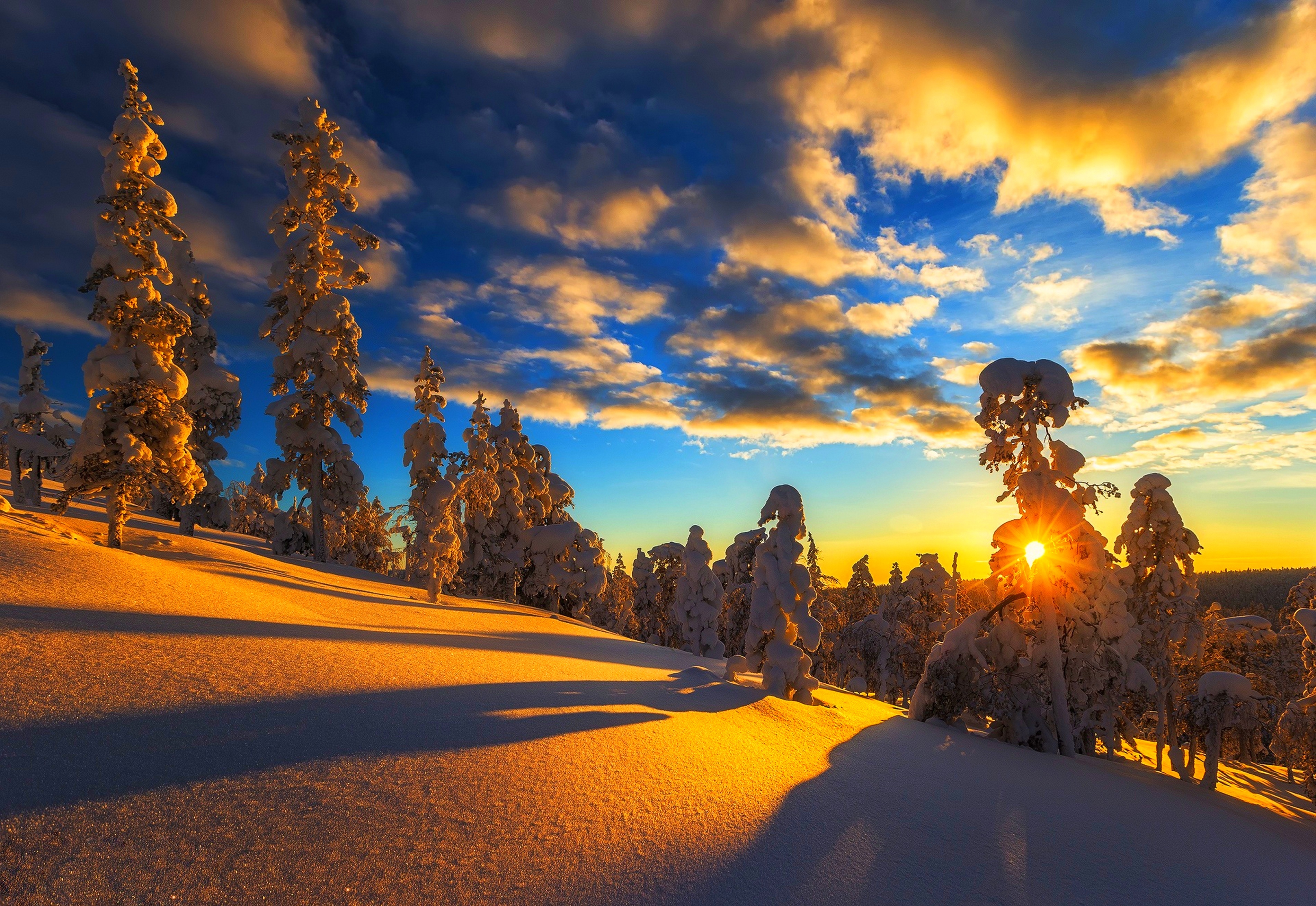 Скачать картинку Зима, Солнце, Снег, Дерево, Земля/природа в телефон бесплатно.