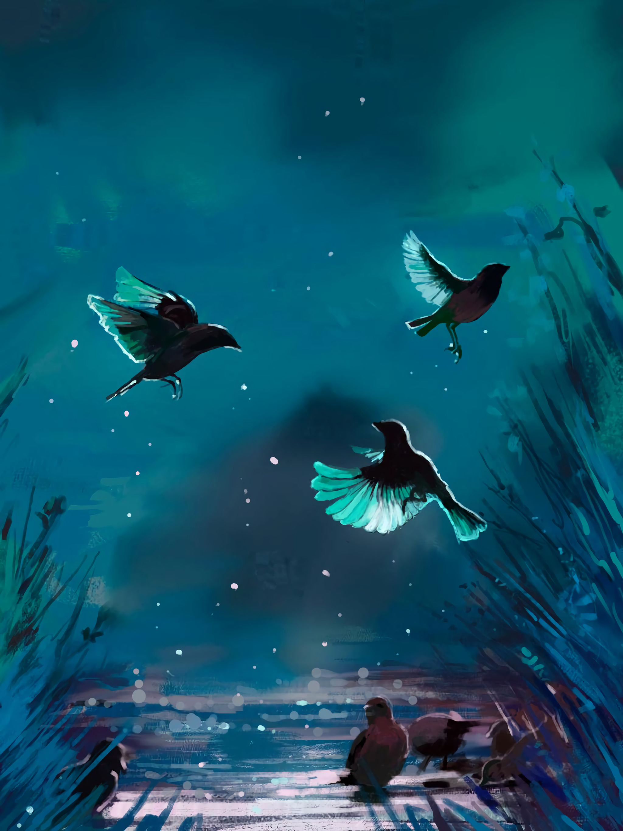 Free download wallpaper Art, Birds, Night on your PC desktop