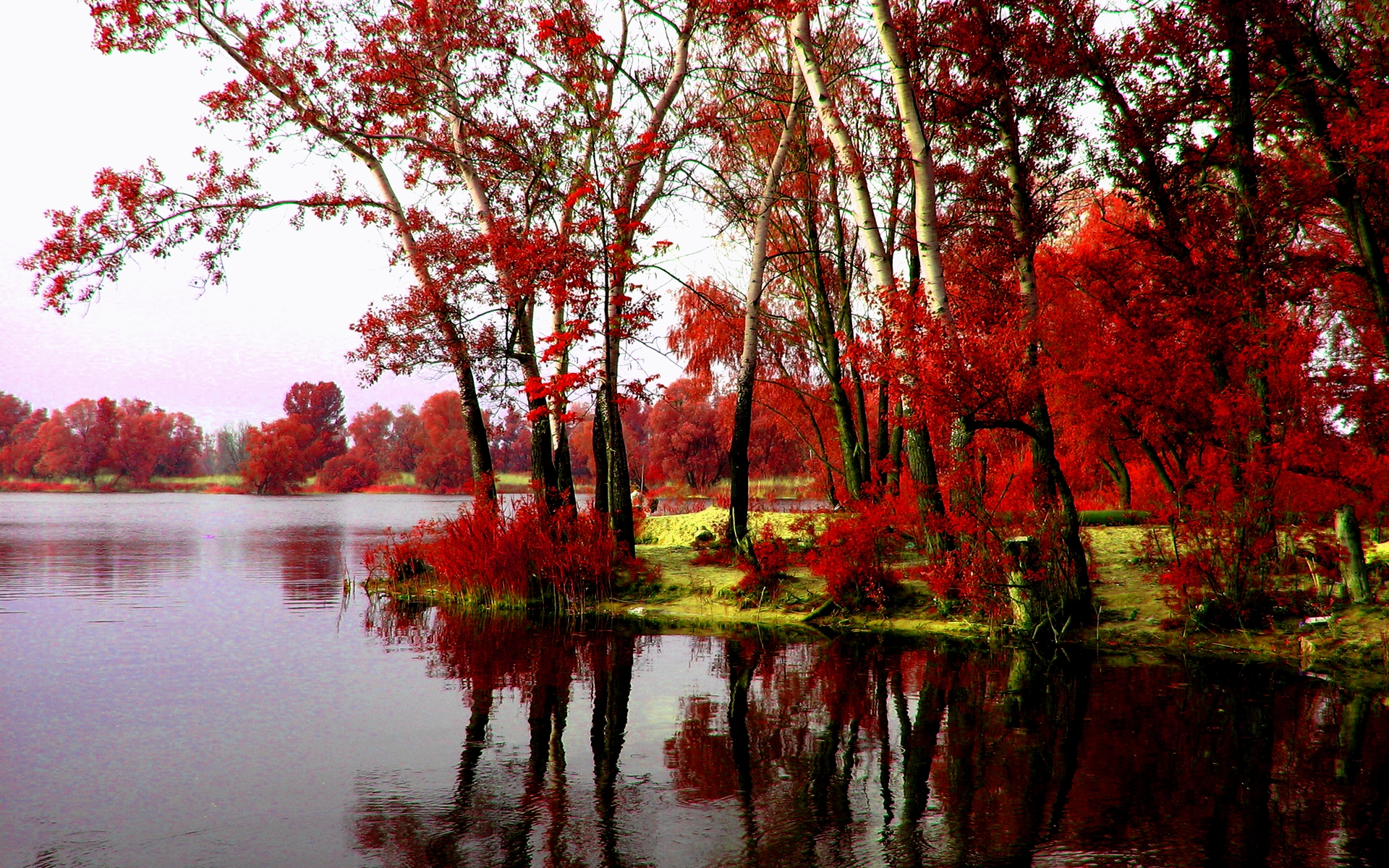 Free download wallpaper Landscape, Water, Lake, Tree, Earth on your PC desktop