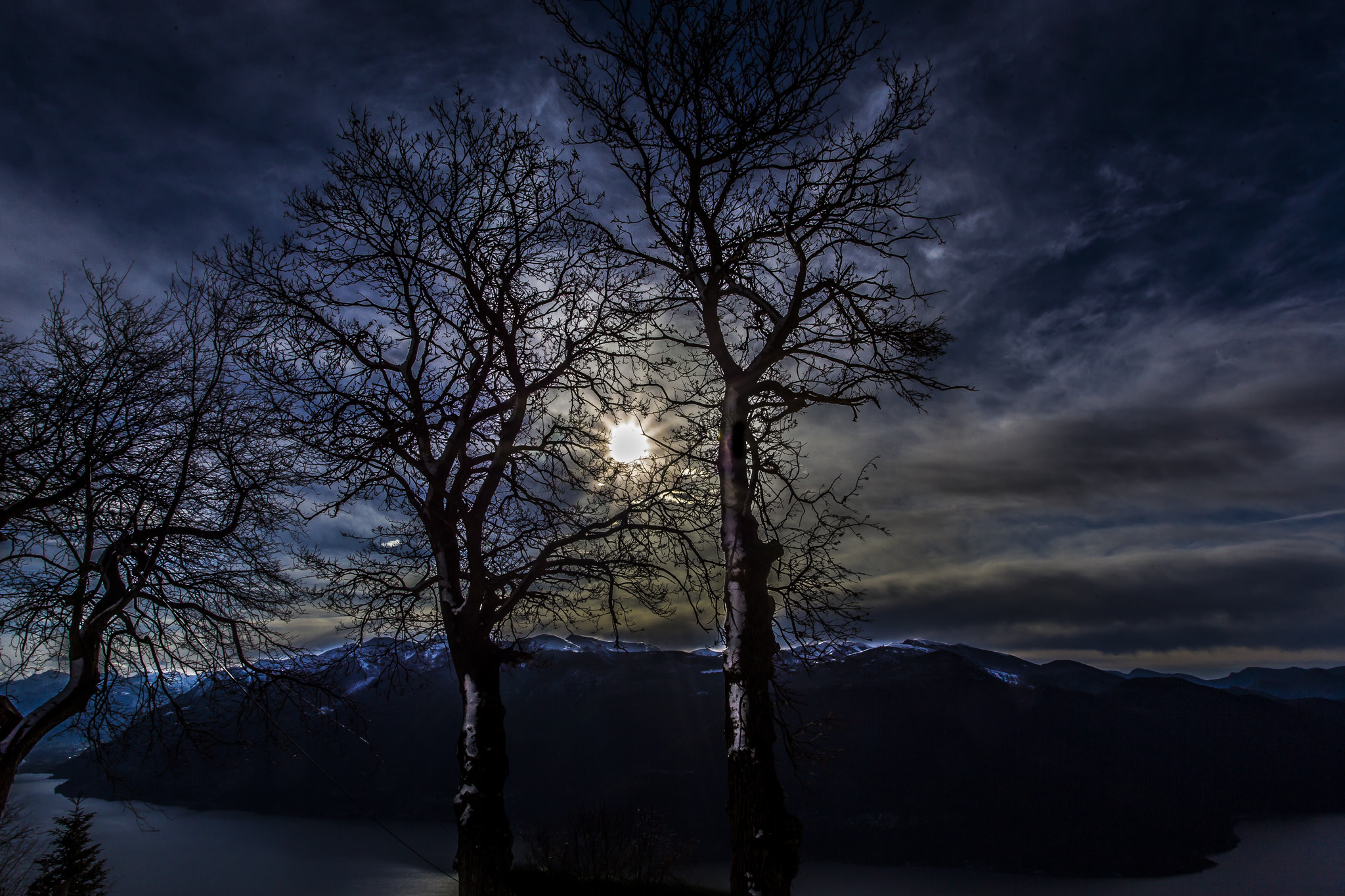 Download mobile wallpaper Trees, Sky, Night, Moon, Dark, Tree, Earth, Evening for free.