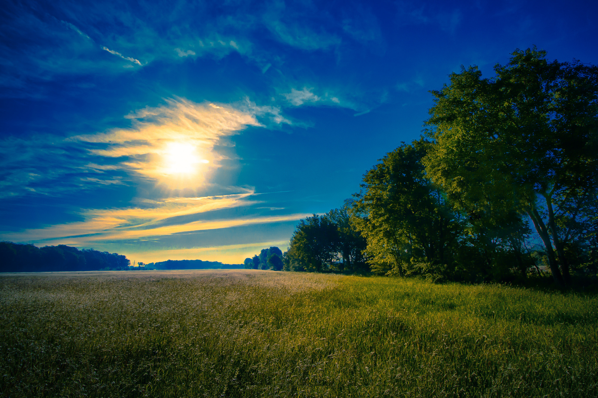Free download wallpaper Landscape, Nature, Summer, Tree, Earth, Field, Sunny on your PC desktop