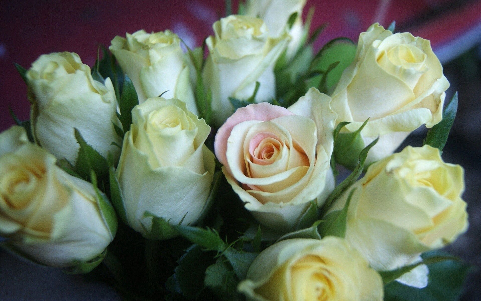 Download mobile wallpaper Bouquet, Flowers, Buds, Roses for free.
