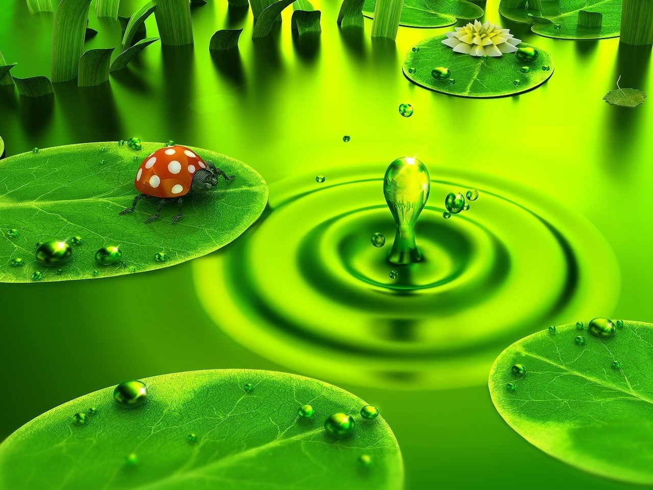 insects, pictures, ladybugs, green Full HD