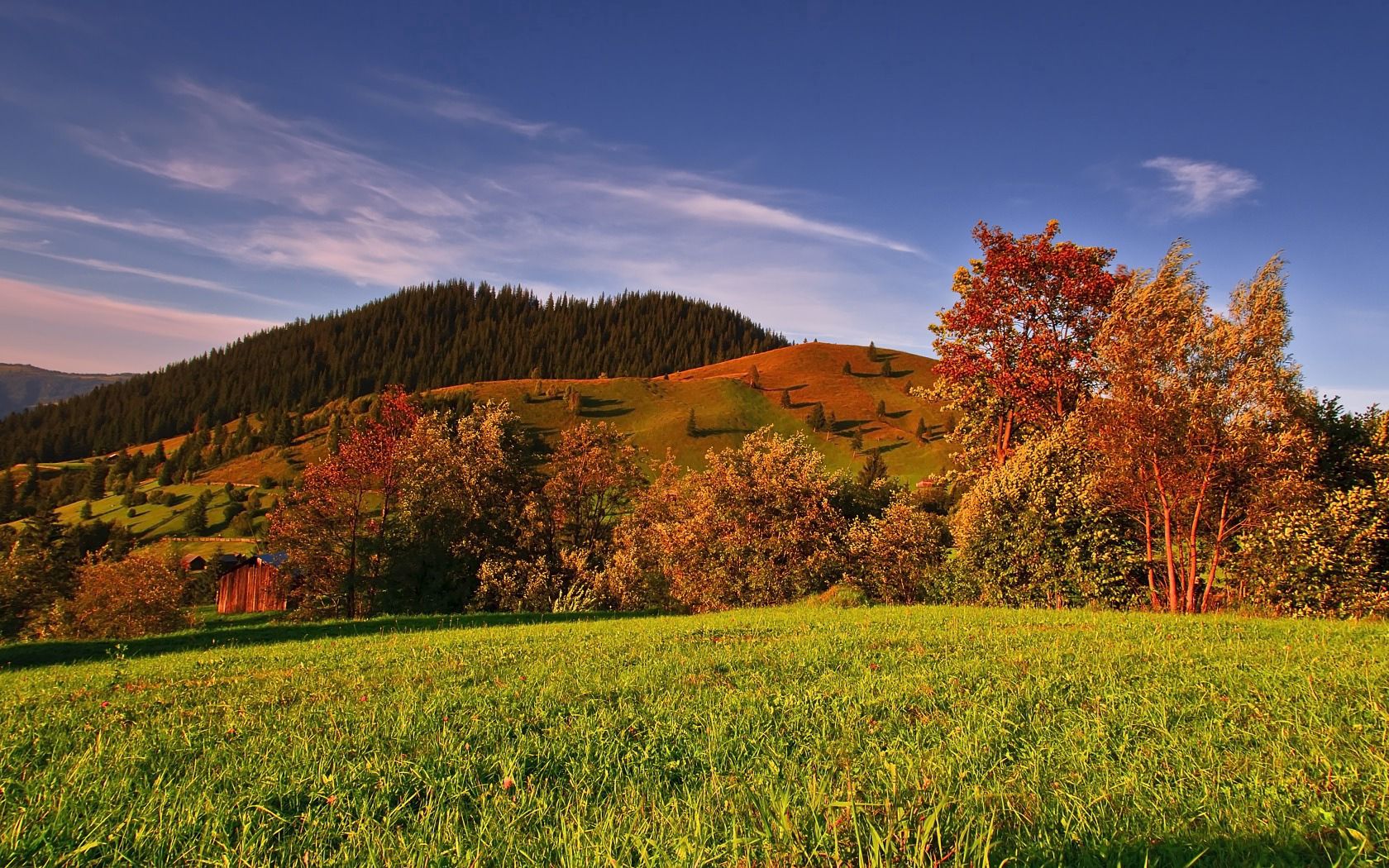 Free download wallpaper Nature, Trees, Grass, Sky, Field, Autumn on your PC desktop