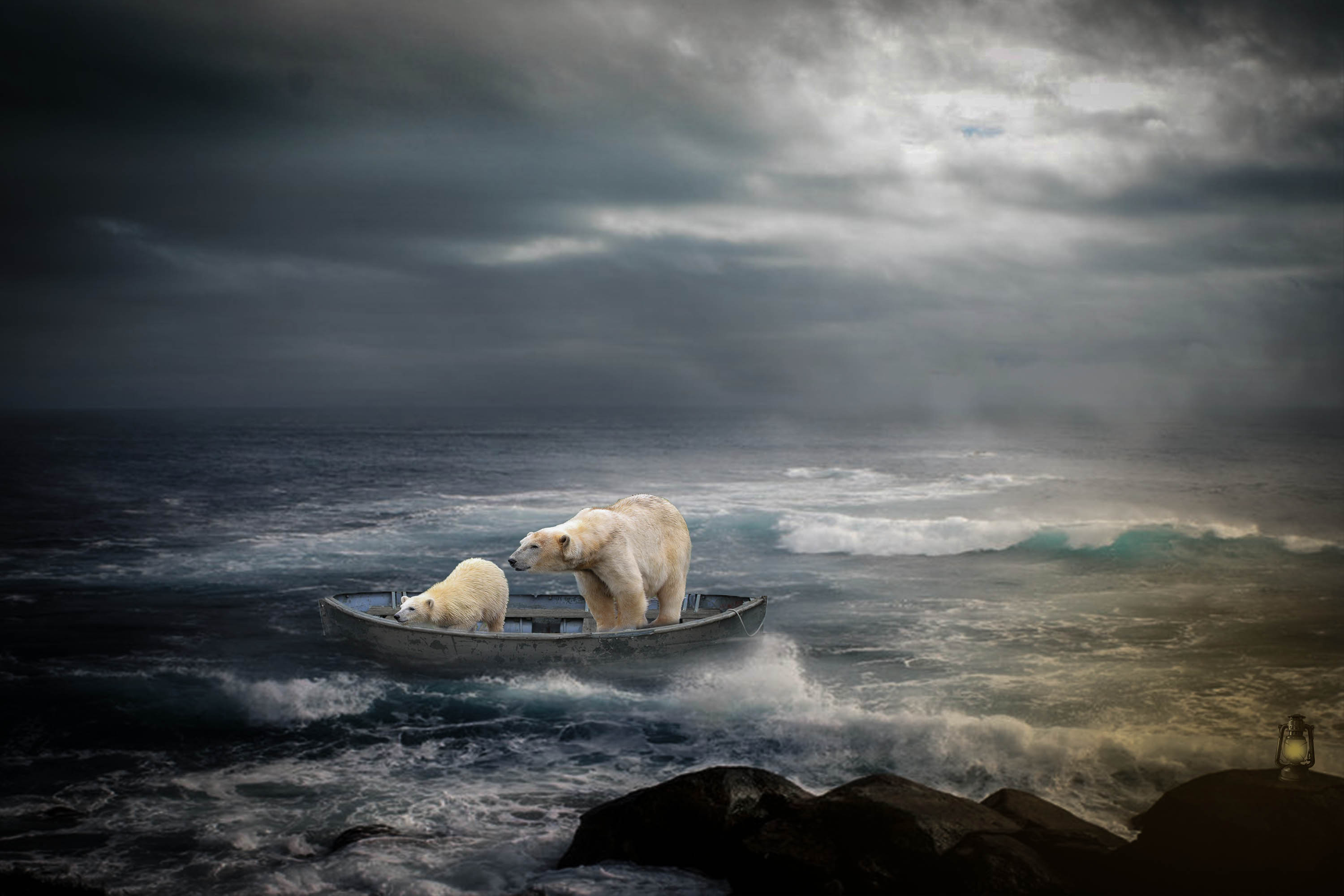 Free download wallpaper Ocean, Animal, Wave, Canoe, Polar Bear, Cub on your PC desktop