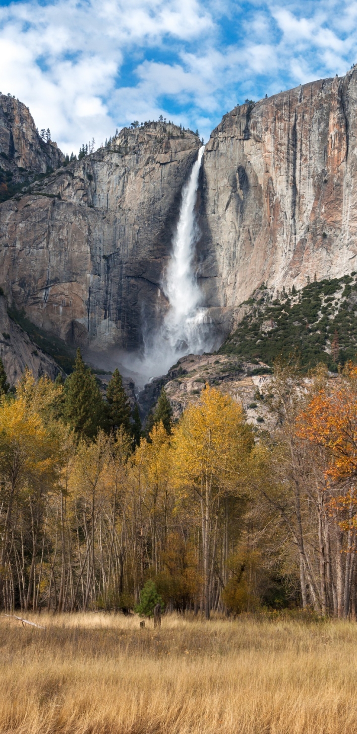 無料モバイル壁紙自然, 木, 滝, 崖, 地球, ヨセミテ国立公園, アメリカ合衆国, ヨセミテ滝をダウンロードします。