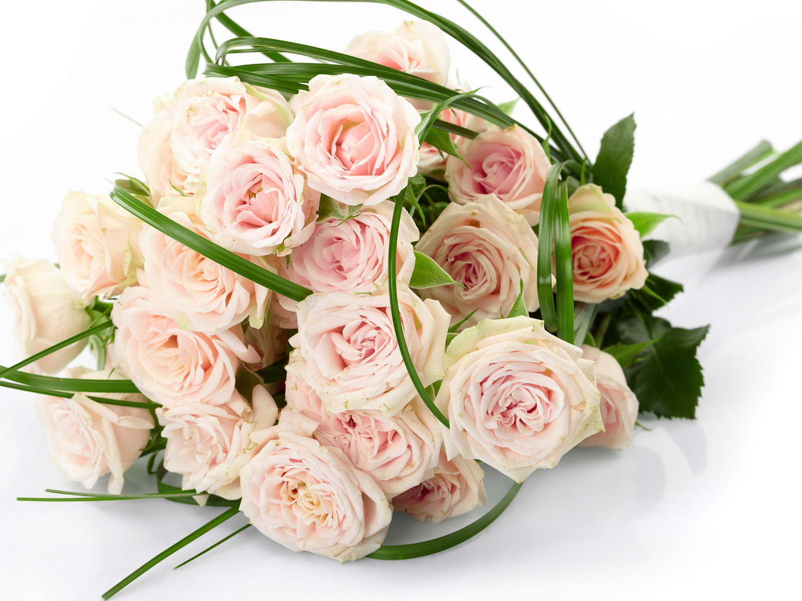 Laden Sie das Blumen, Bouquets, Roses, Pflanzen-Bild kostenlos auf Ihren PC-Desktop herunter