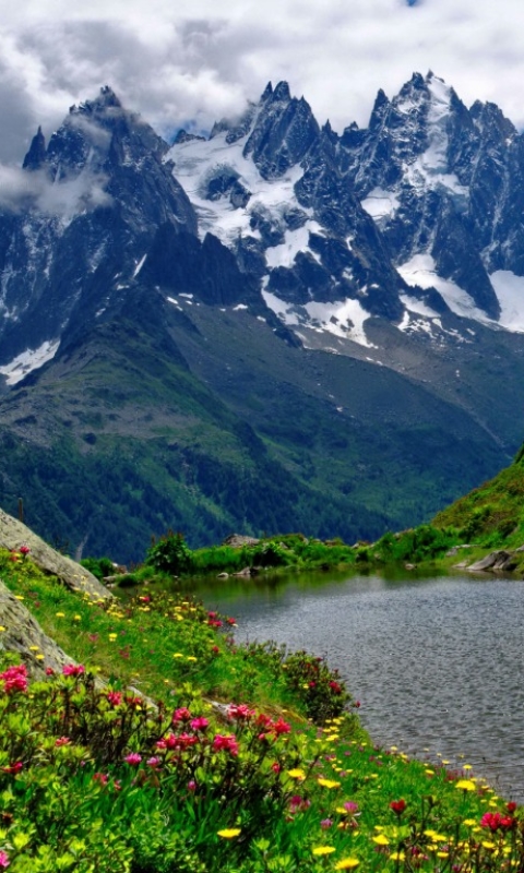 Скачать картинку Озера, Гора, Озеро, Цветок, Земля/природа в телефон бесплатно.