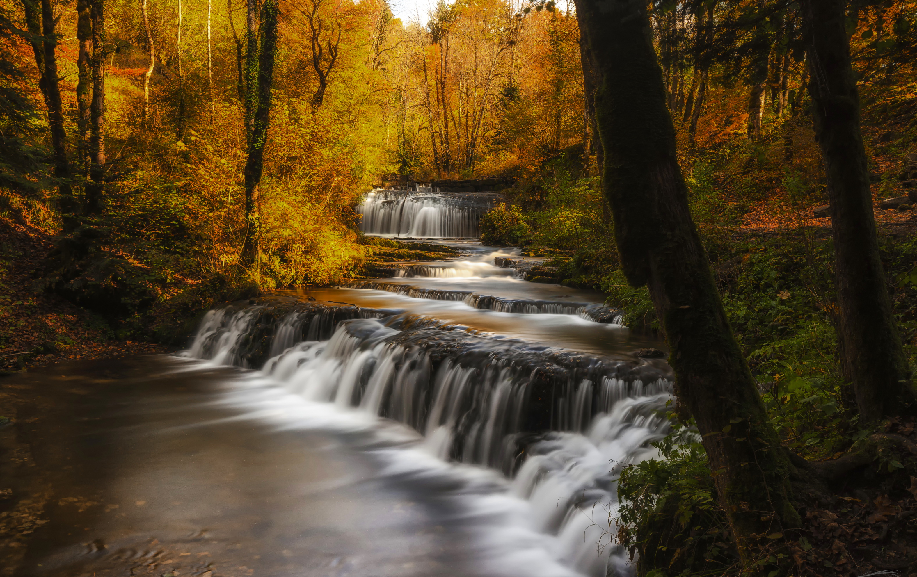 Handy-Wallpaper Herbst, Wasserfälle, Wasserfall, Wald, Baum, Erde/natur kostenlos herunterladen.
