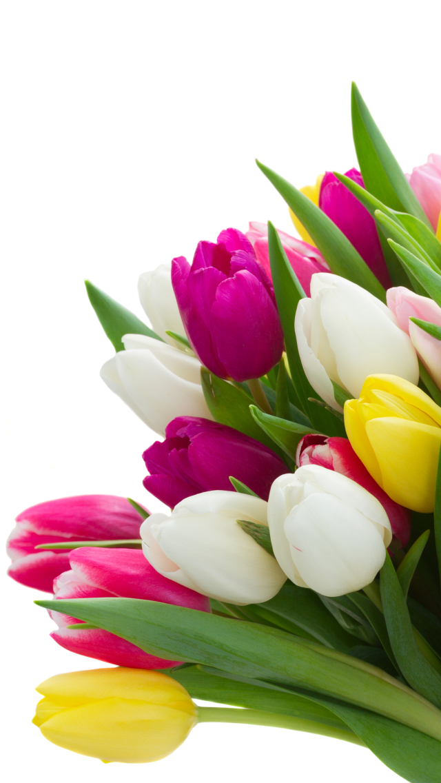 Download mobile wallpaper Nature, Flowers, Bouquet, Earth, Colors, Colorful, Tulip, Yellow Flower, White Flower, Purple Flower for free.