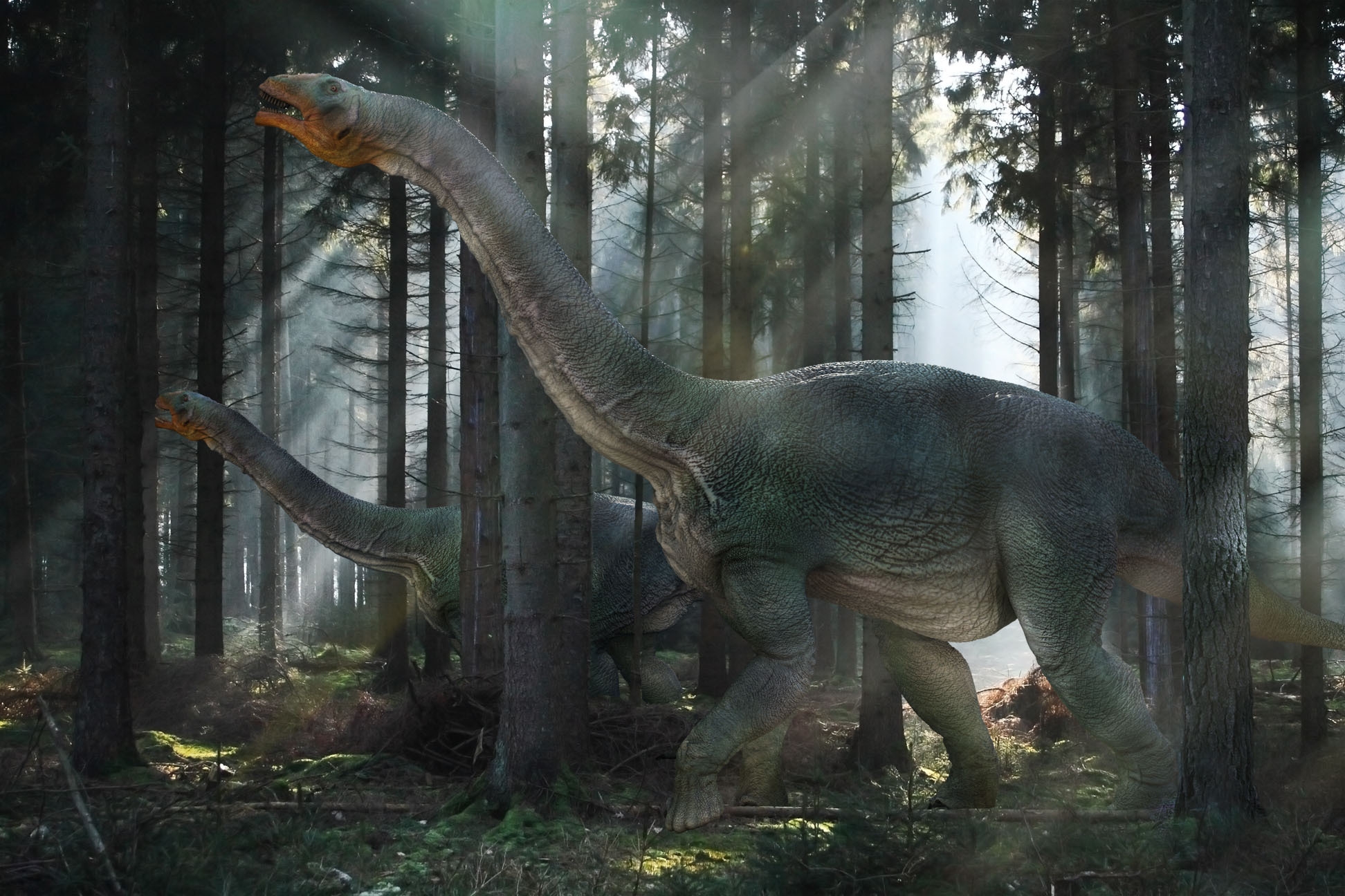 69792 скачать обои динозавр, мезозойская эра, животные, лес, прогулка - заставки и картинки бесплатно